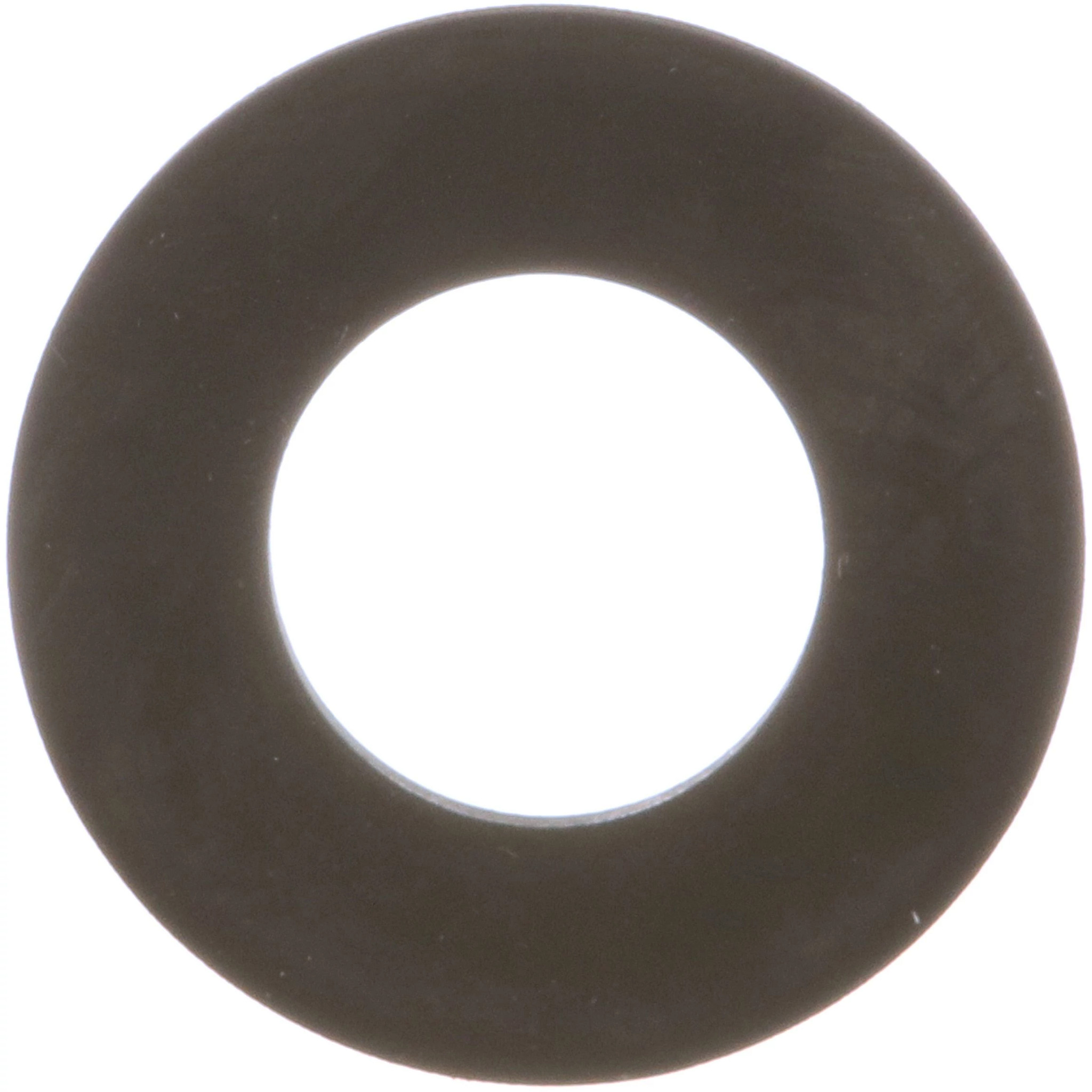 WASHER | CASECE | AMEA | EN