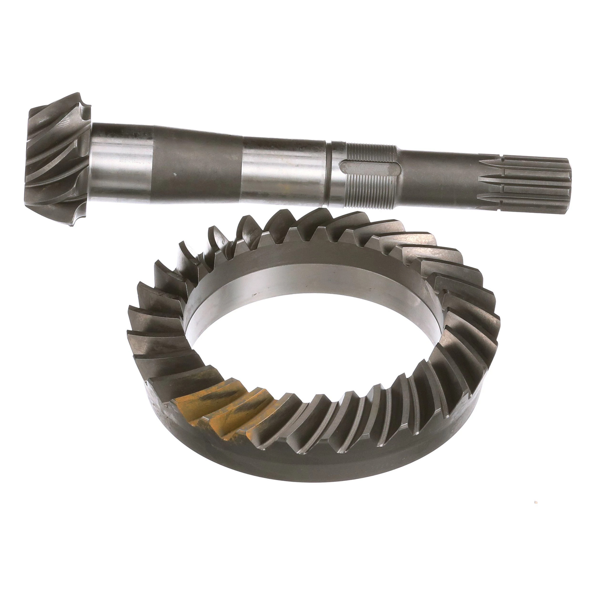 PIGNON CONIQUE | NEWHOLLANDAG | CA | FR