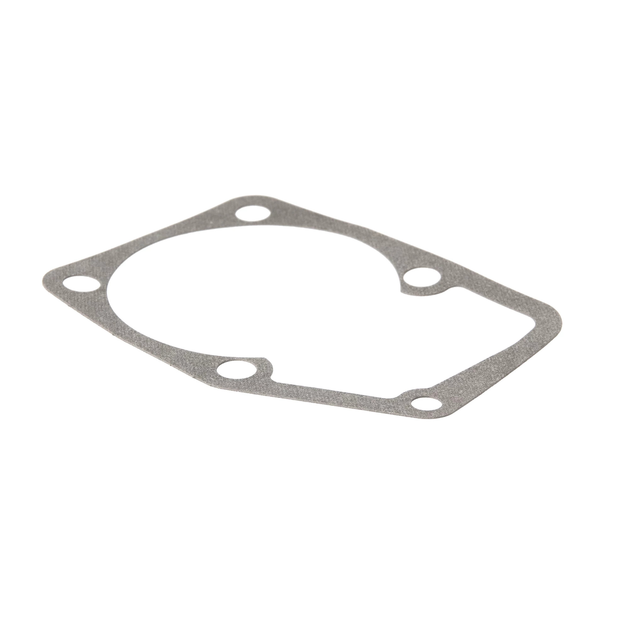 GUARNIZIONE | CASECE | EU | IT