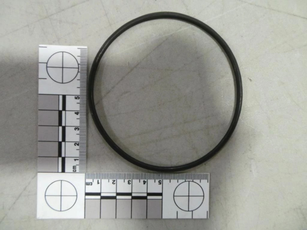 O-RING | CASEIH | US | EN