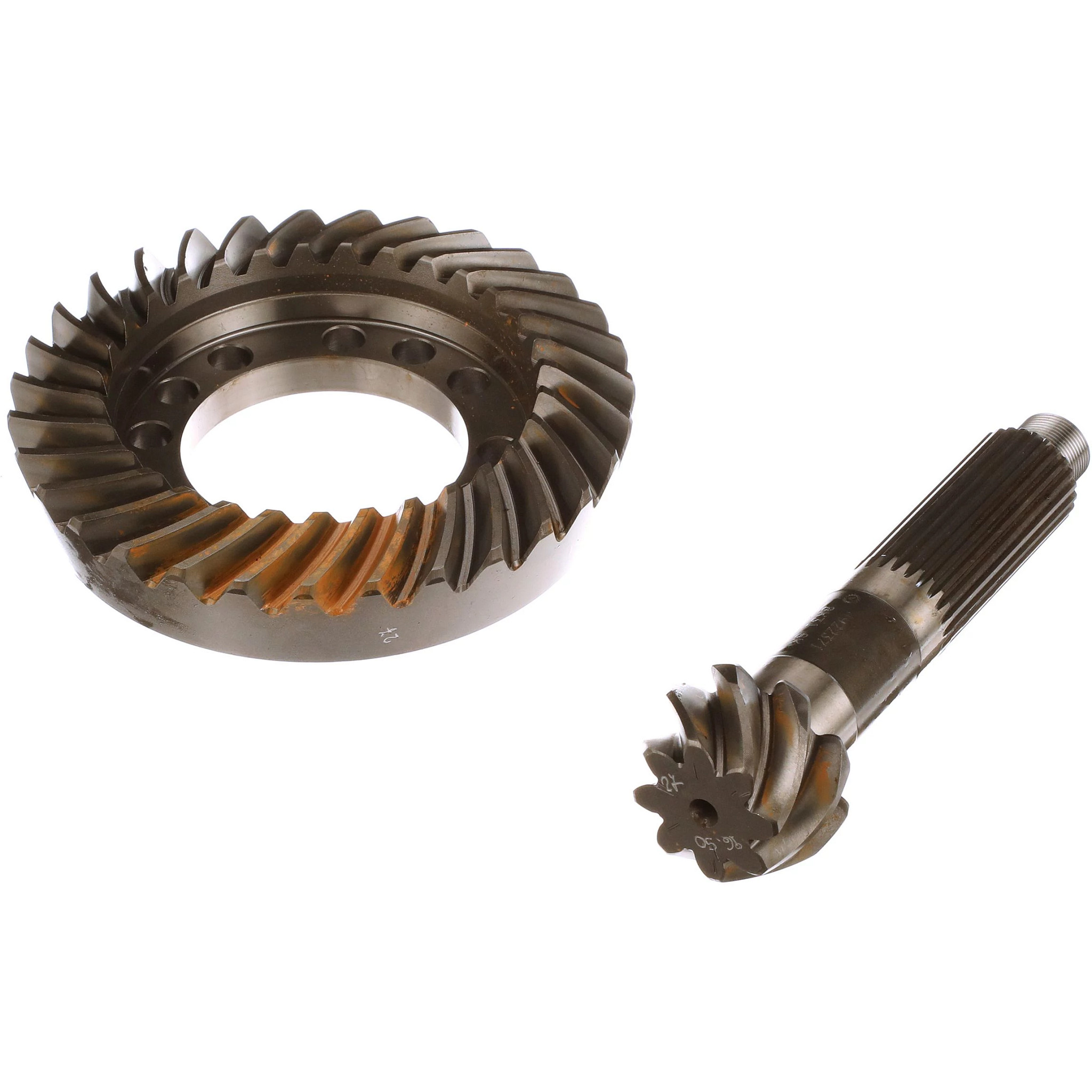 PIGNON CONIQUE | NEWHOLLANDCE | CA | FR