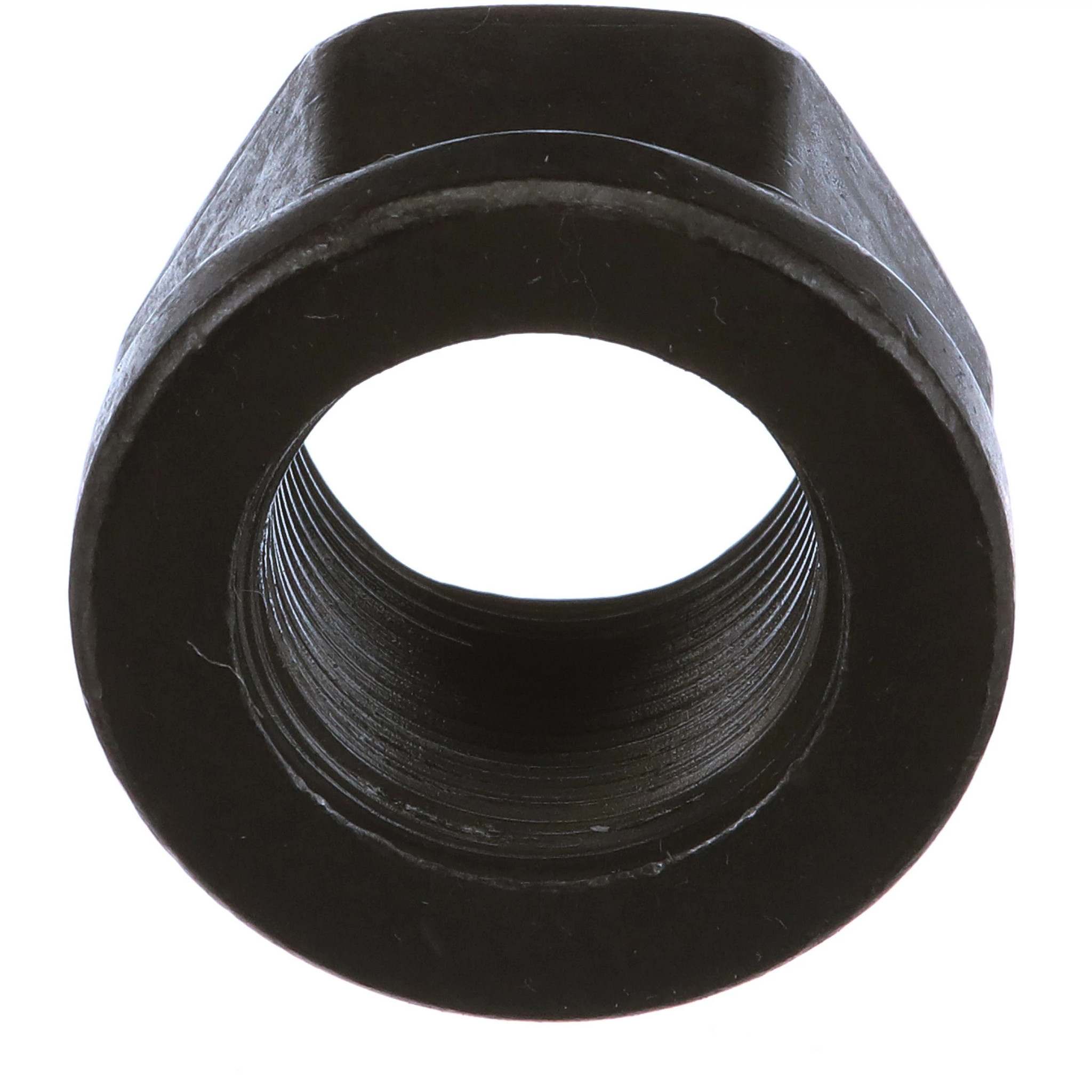 TUERCA | CASECE | EU | ES