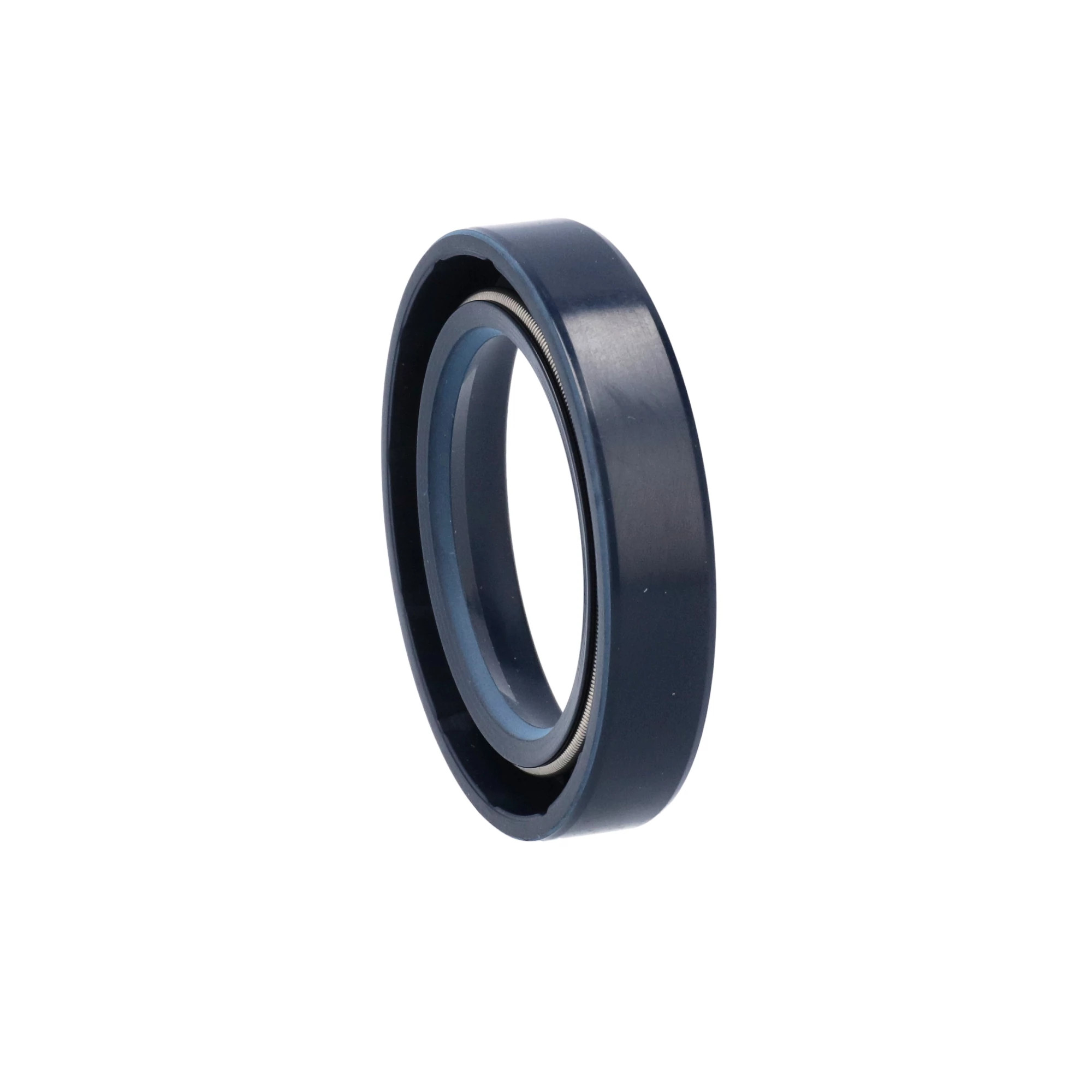 OIL SEAL | CASECE | SA | EN