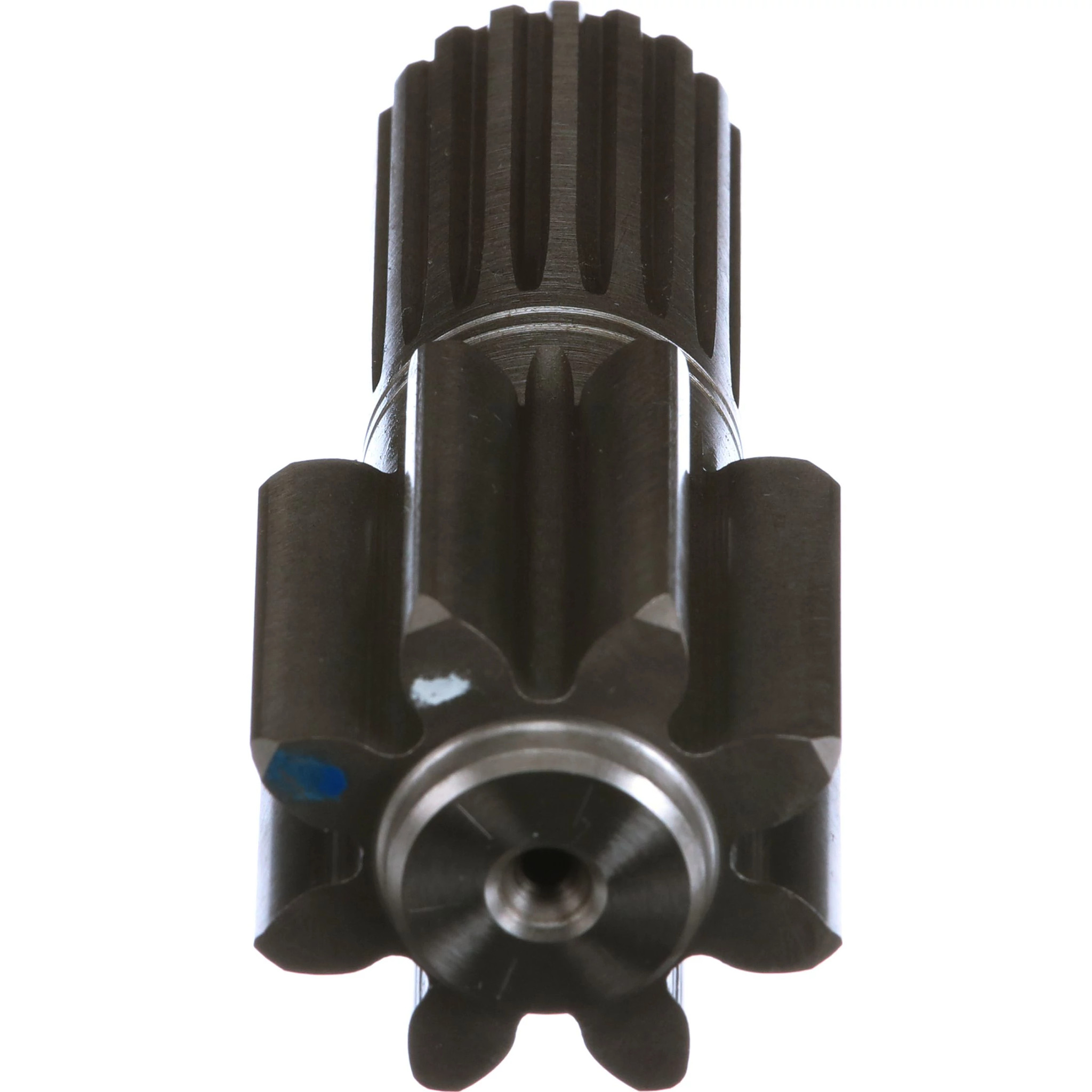 PIGNON SOLAIRE | CASECE | CA | FR