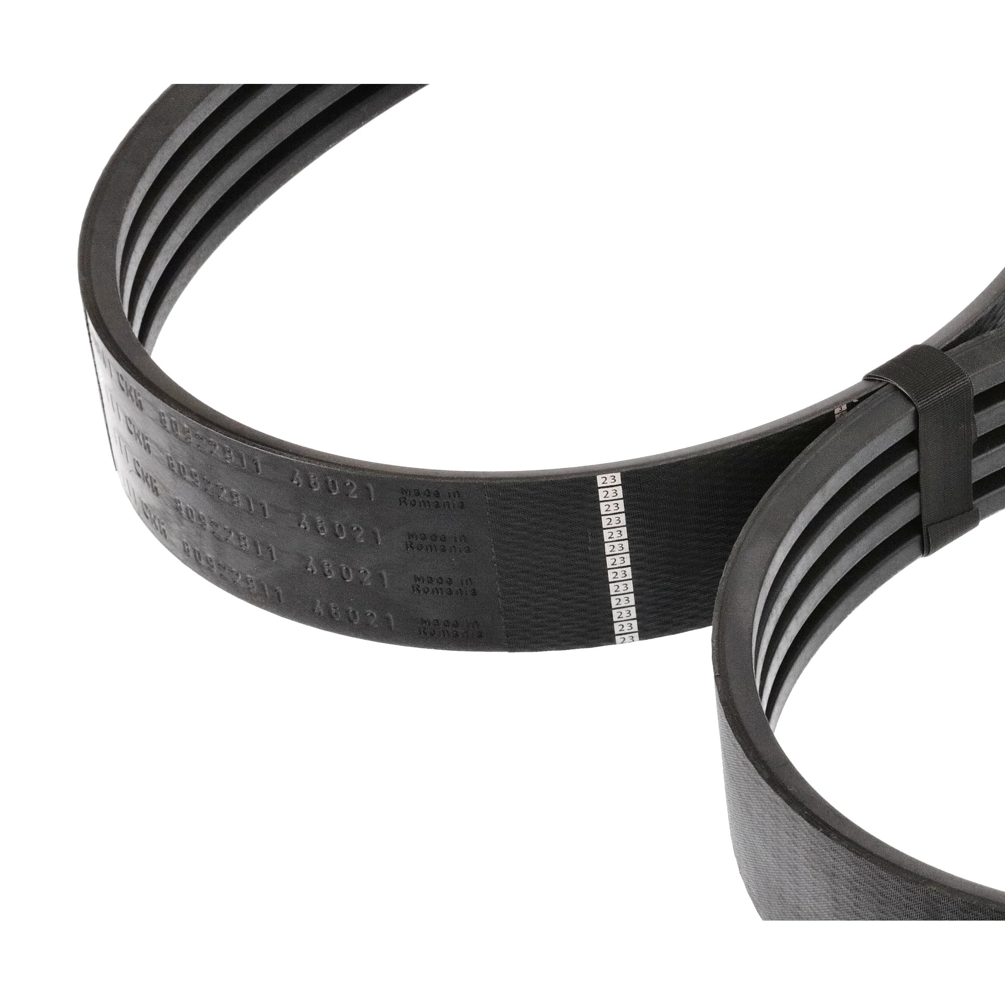 BELT | CASECE | AMEA | EN