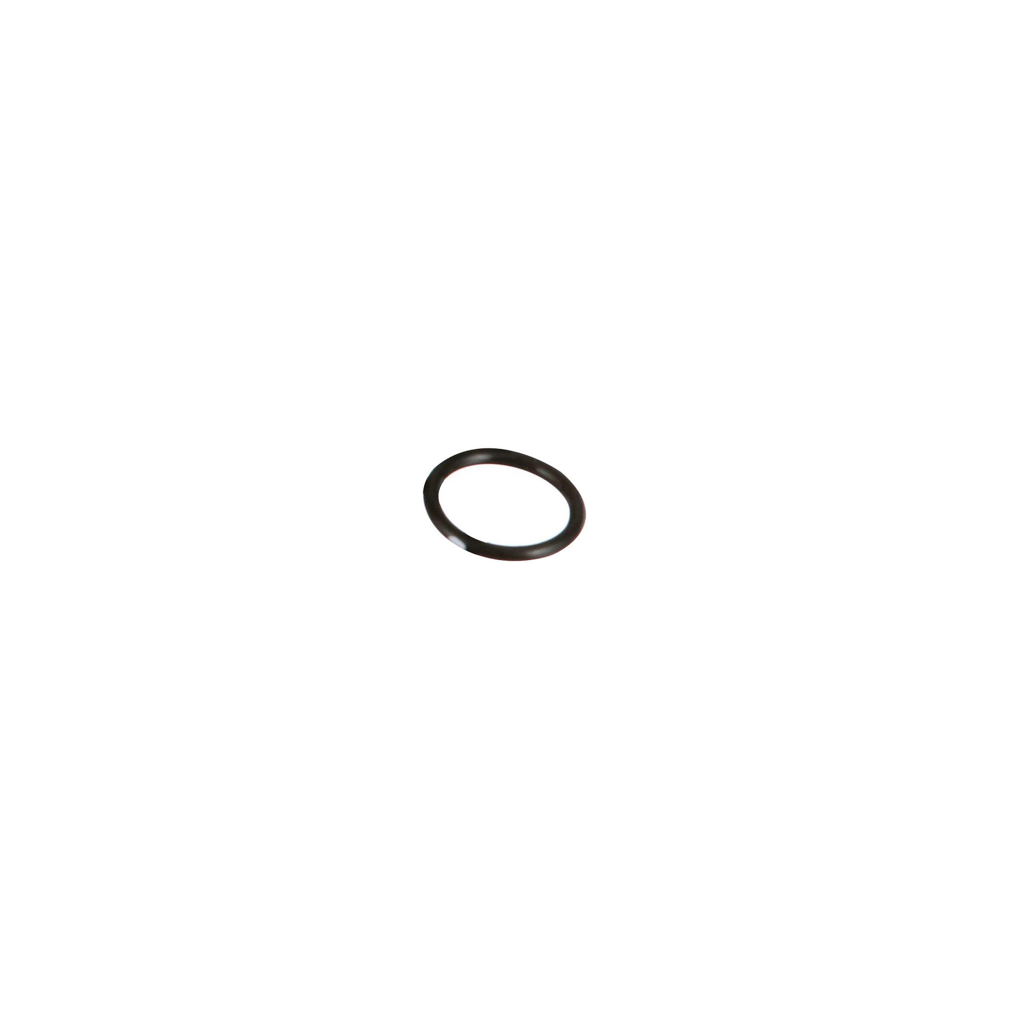 O-RING | CASEIH | CA | EN