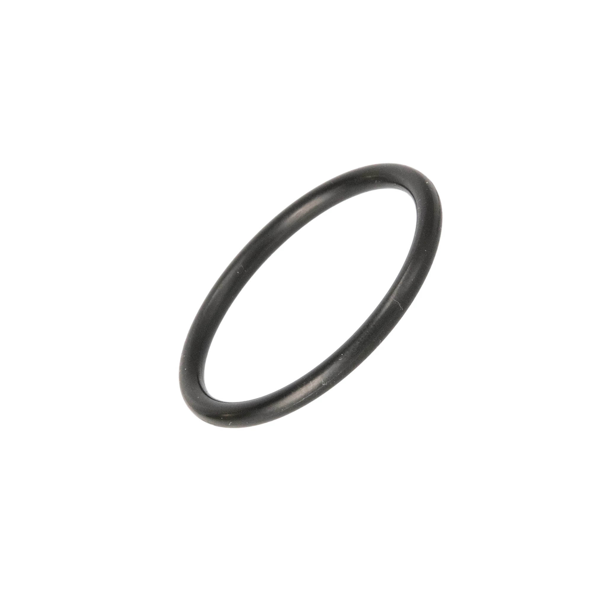 O-RING | CASECE | EU | IT