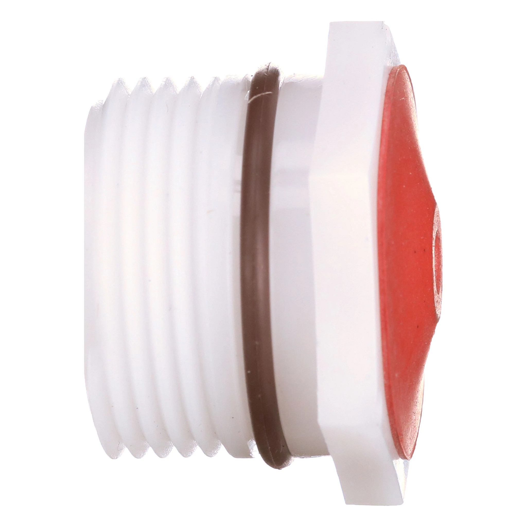 Válvula de retenção