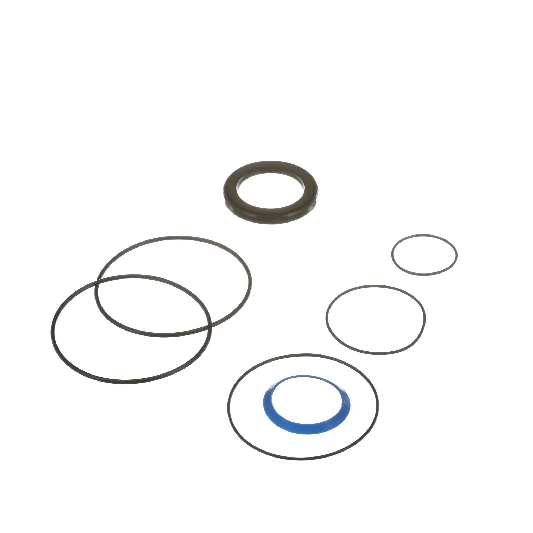 Hydraulic Seal Kit | CASECE | BR | PT