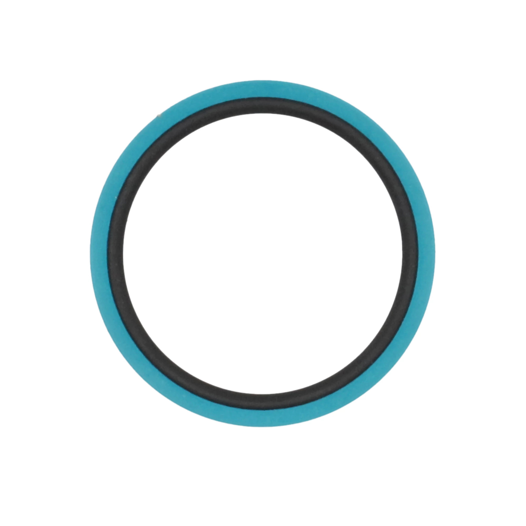 SEALING RING | CASEIH | IE | EN