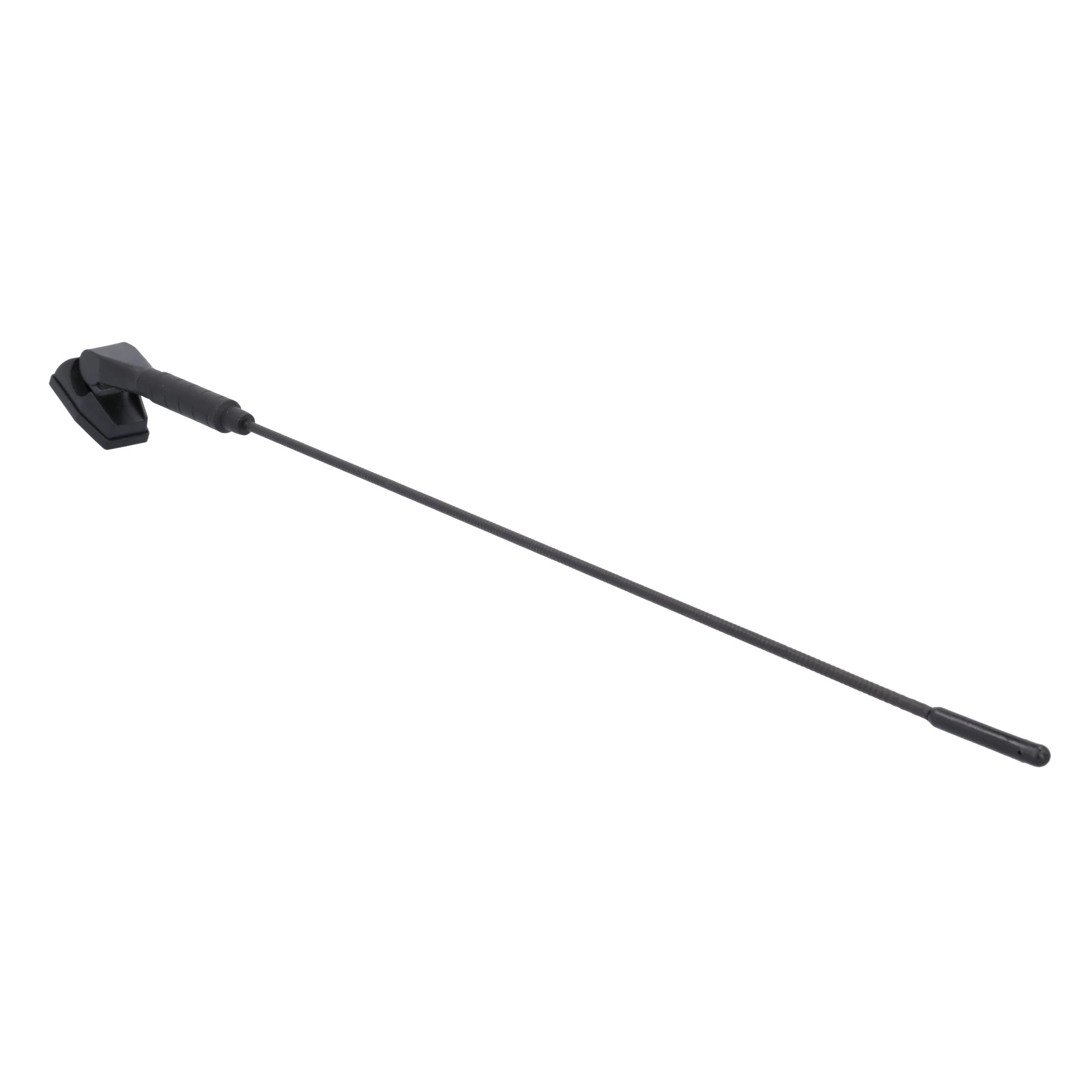 ANTENNA | CASECE | US | EN