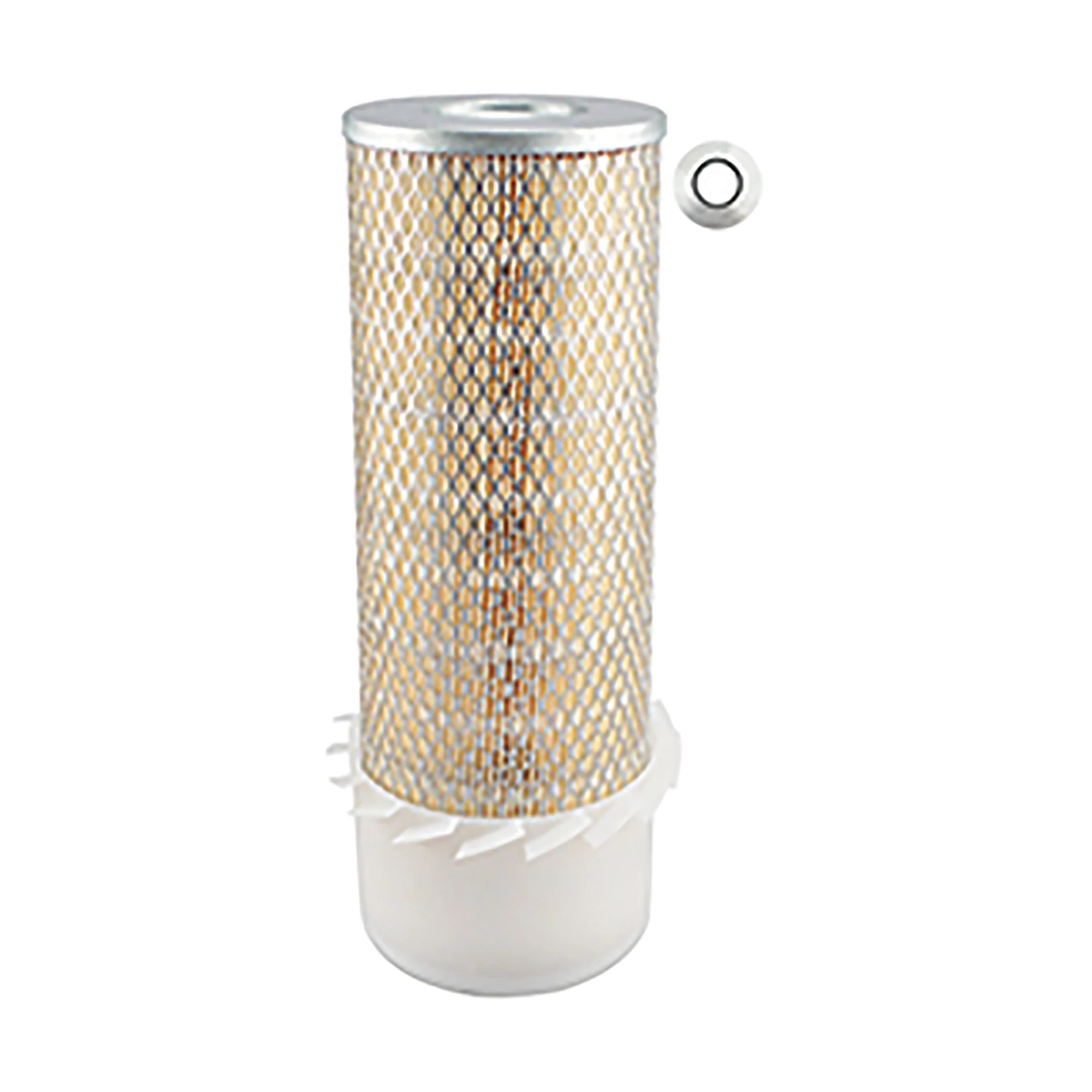 FILTRO DE AIRE | CASEIH | ES | ES