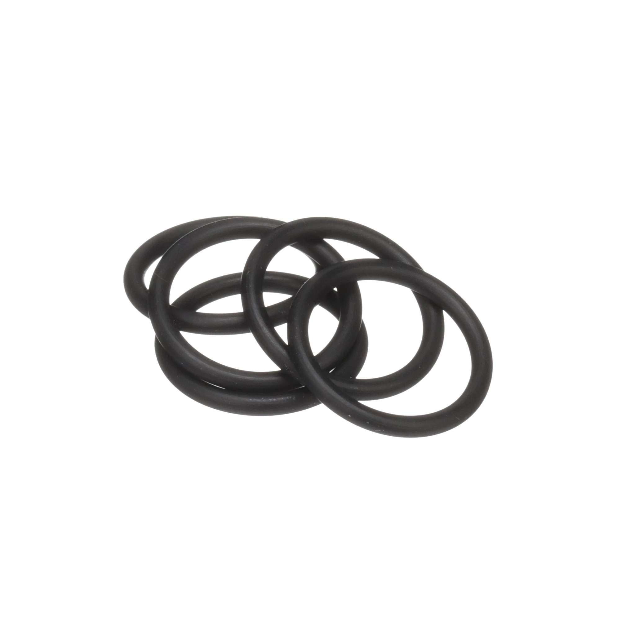 Anel O-ring | CASECE | BR | PT