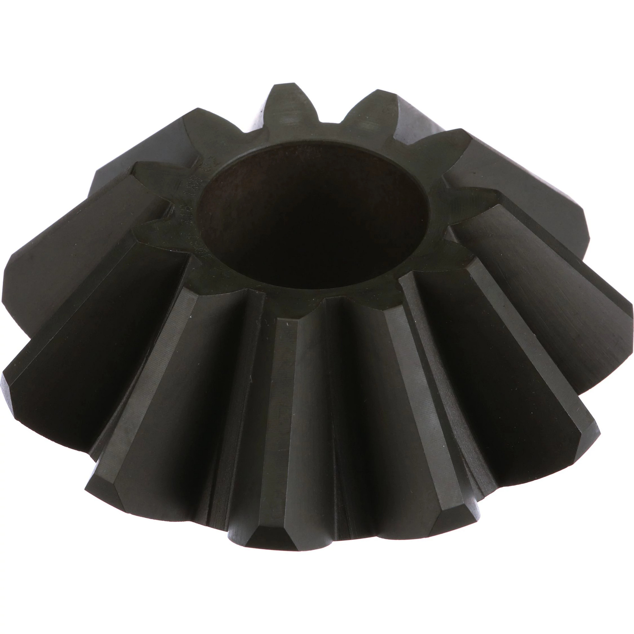 PIGNON CONIQUE | NEWHOLLANDCE | CA | FR