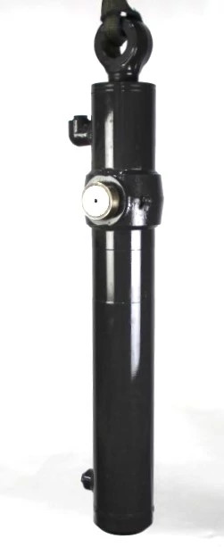 Reman Hydraulic Cylinder | CASECE | CA | EN