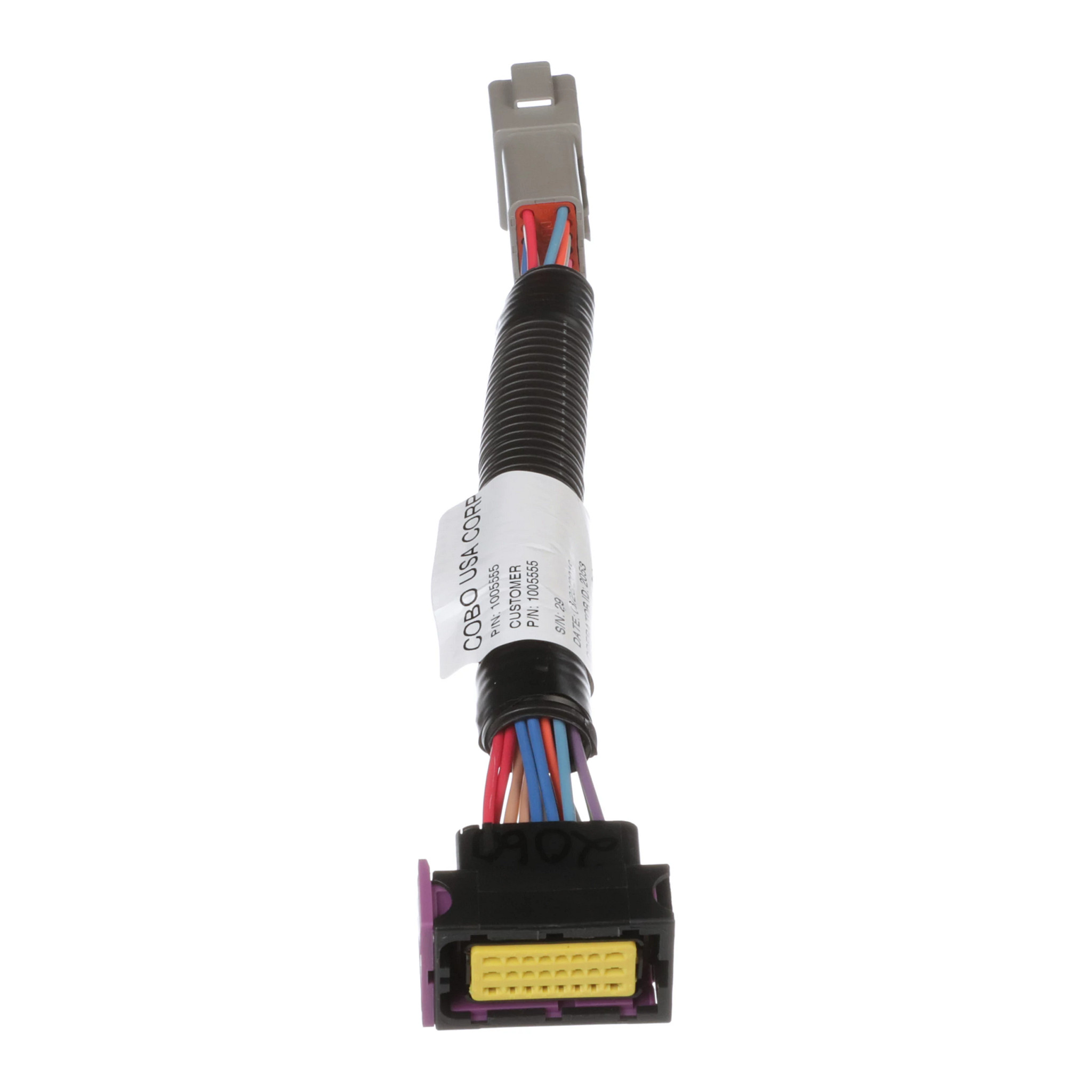 JUMPER | CASECE | CA | EN