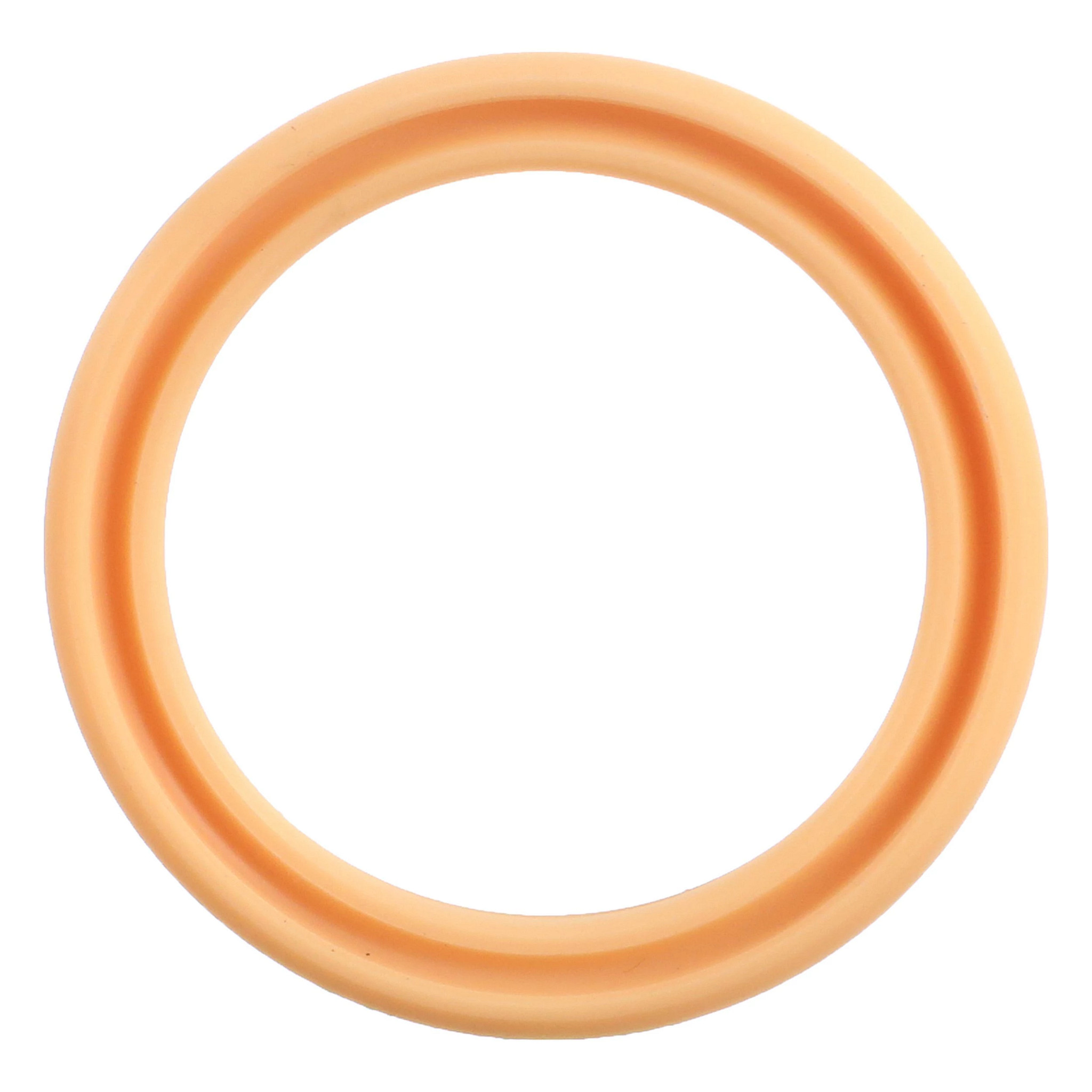 SEAL | CASEIH | US | EN