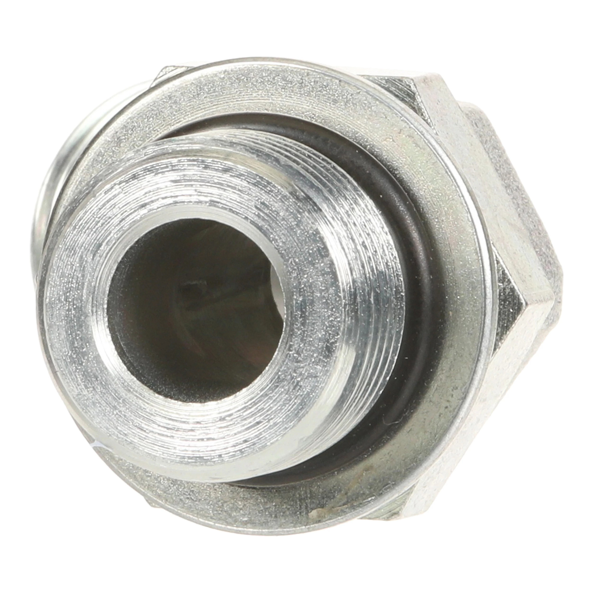 GOMITO | CASECE | EU | IT