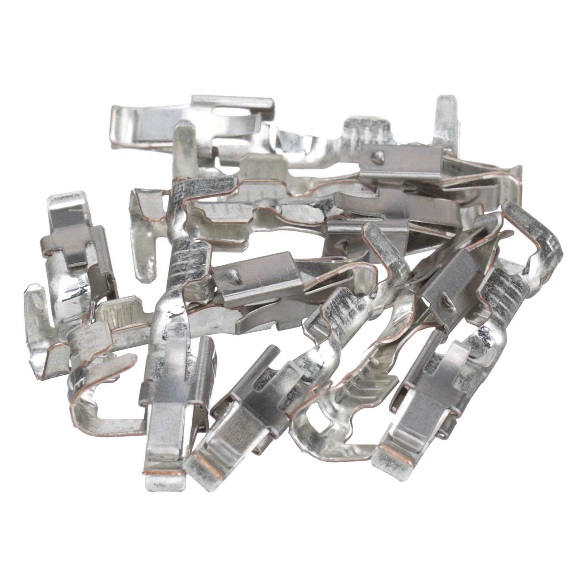 TERMINAL | CASECE | US | EN