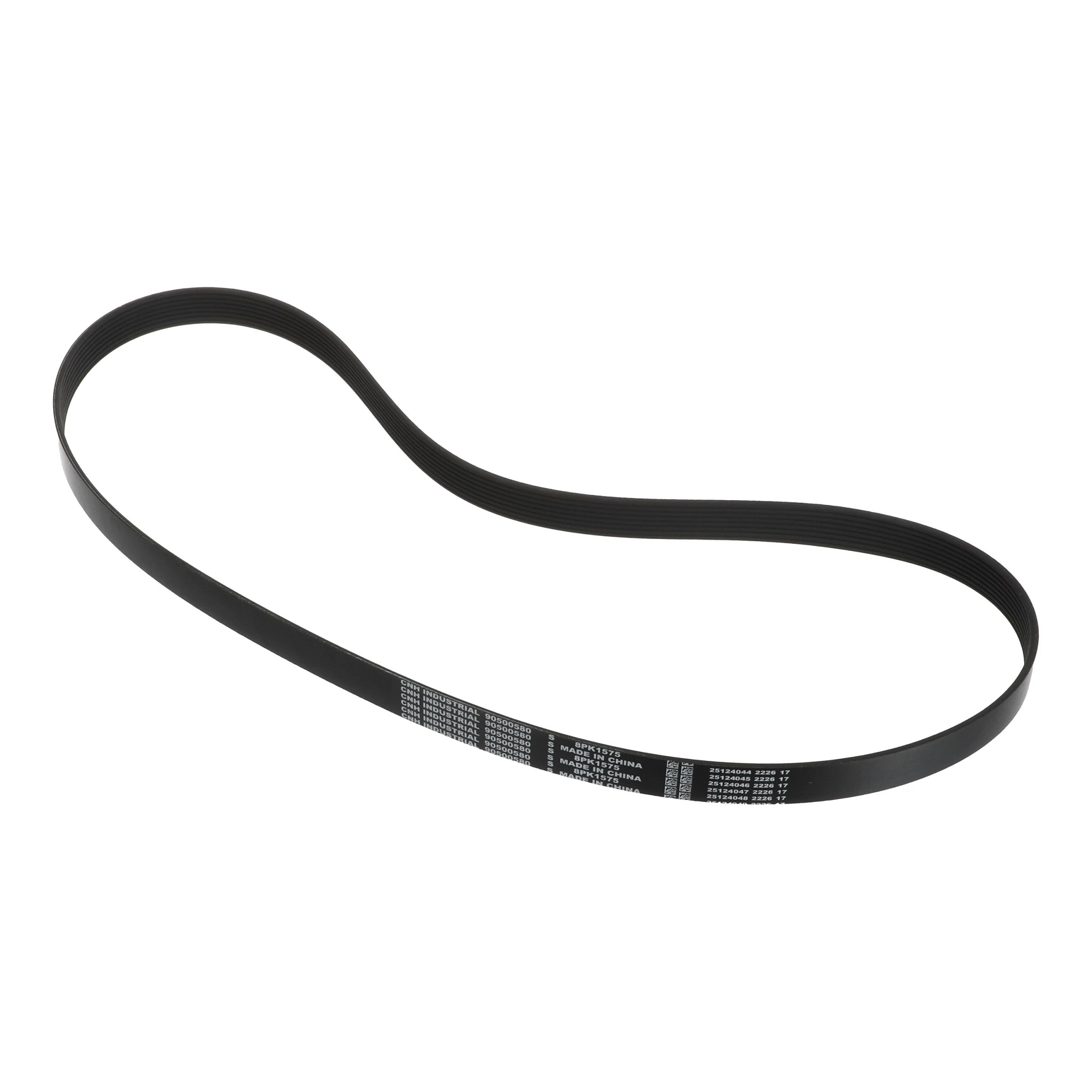 Belt | CASECE | US | EN