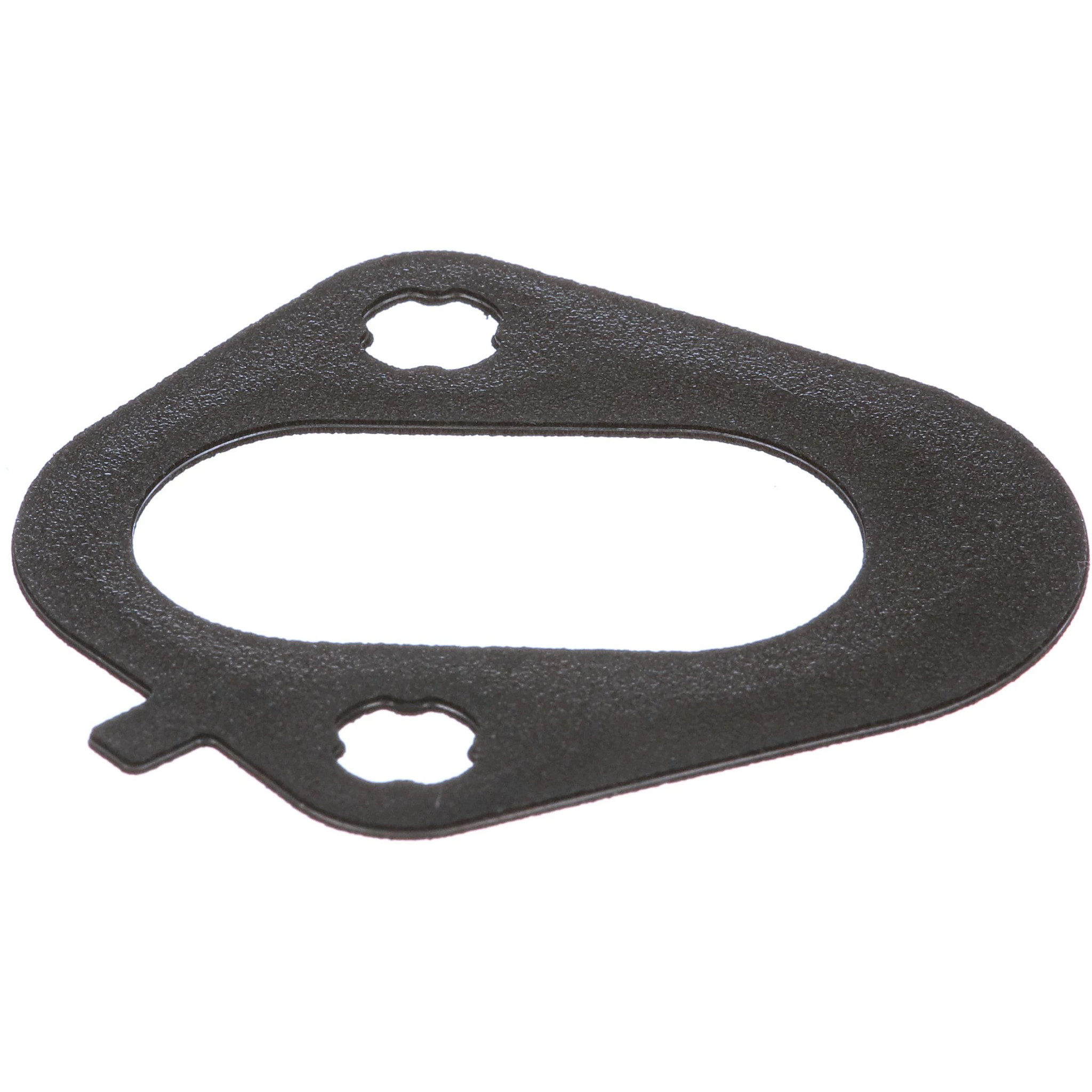 GASKET | CASECE | EU | EN