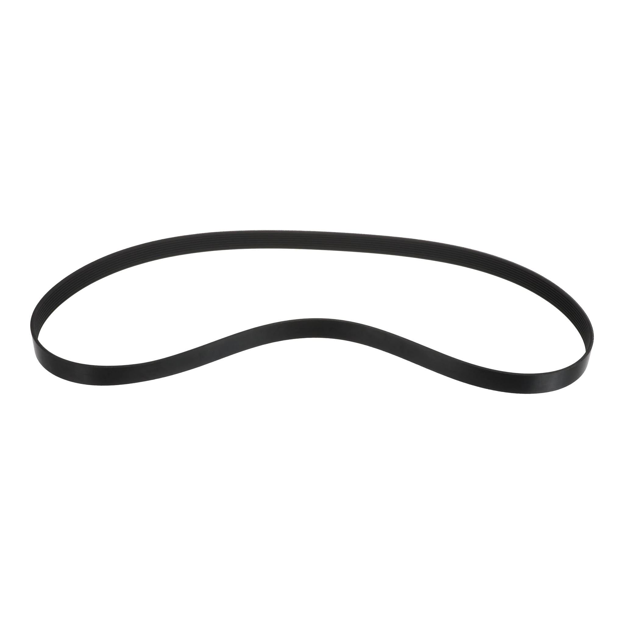 BELT | CASECE | US | EN