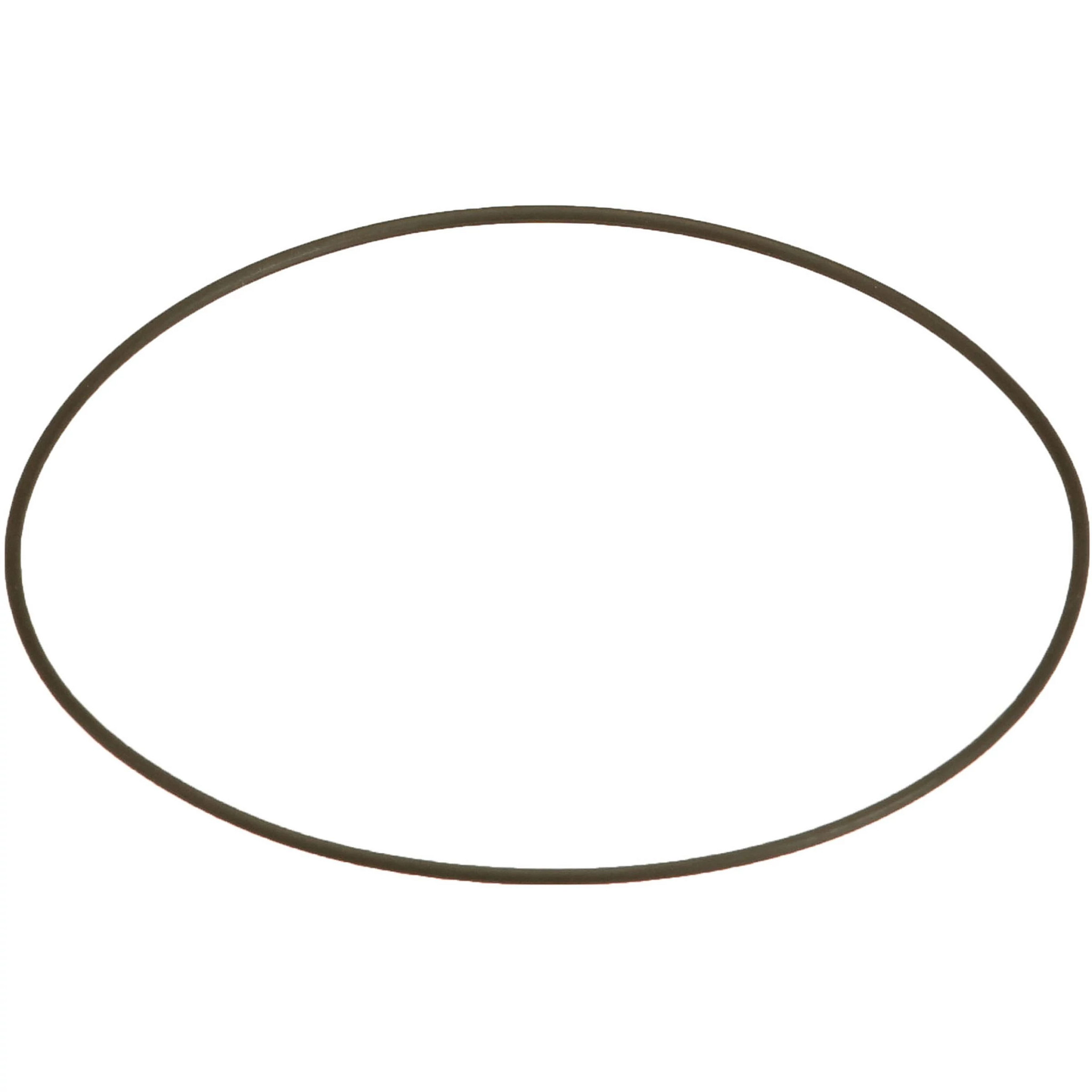 O-RING | CASEIH | CA | EN