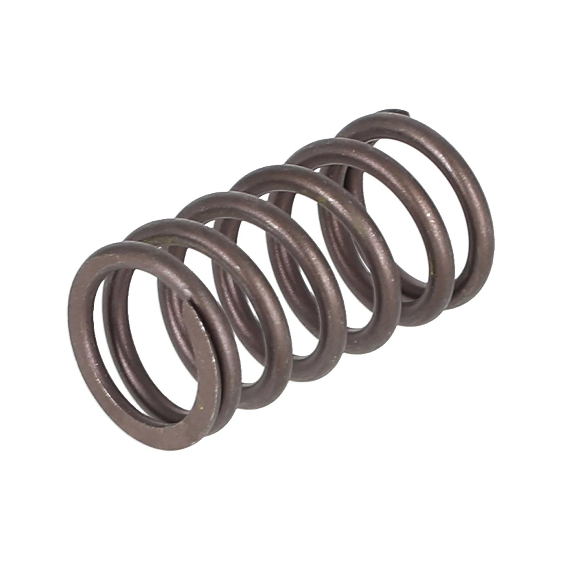 Valve Spring | CASECE | CA | EN