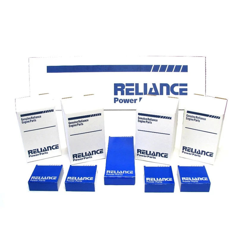 Reliance Major Overhaul Kit | CASECE | US | EN