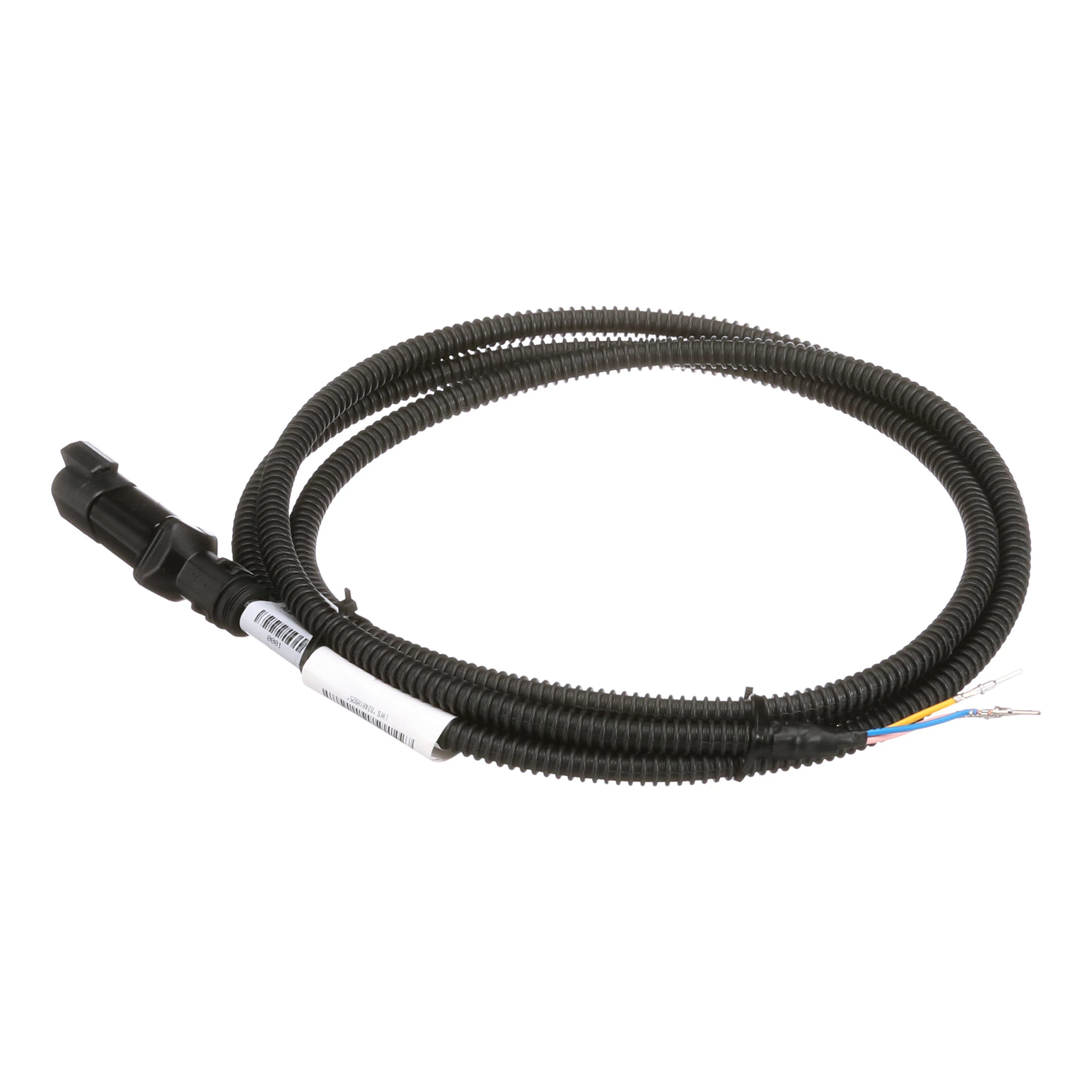 CHICOTE | CASECE | EU | NL