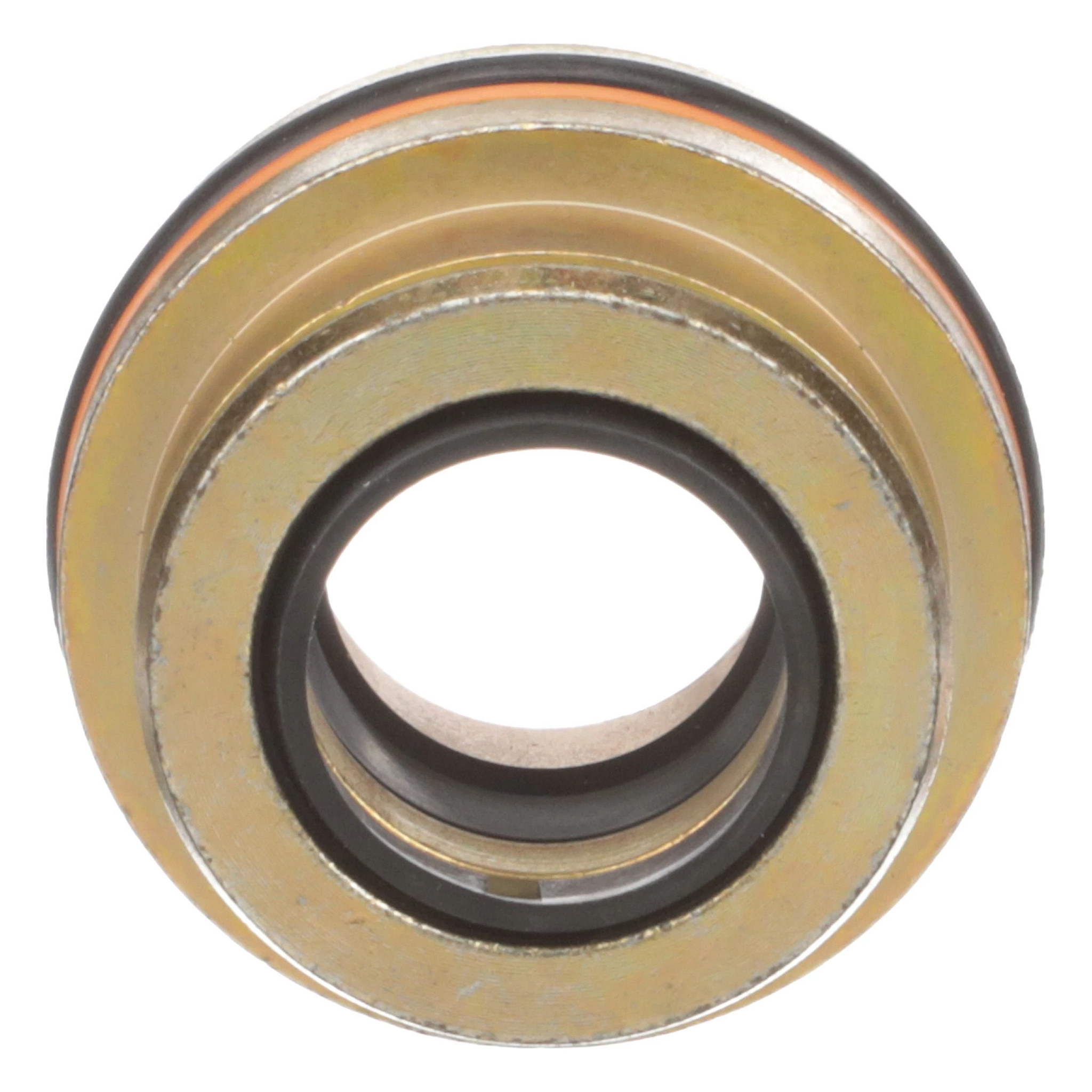 GLAND | CASECE | CA | EN