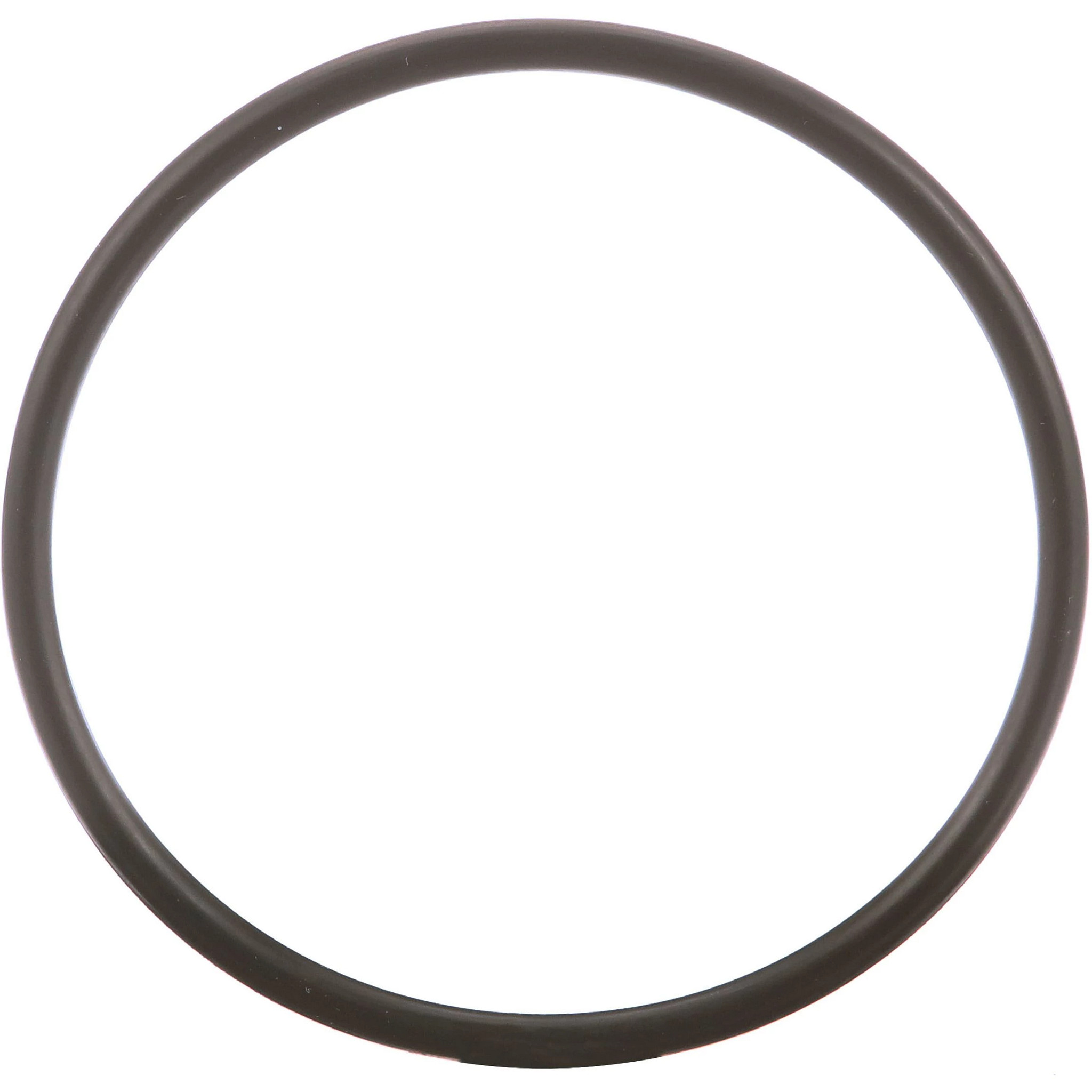 JOINT TORIQUE | CASECE | AMEA | EN