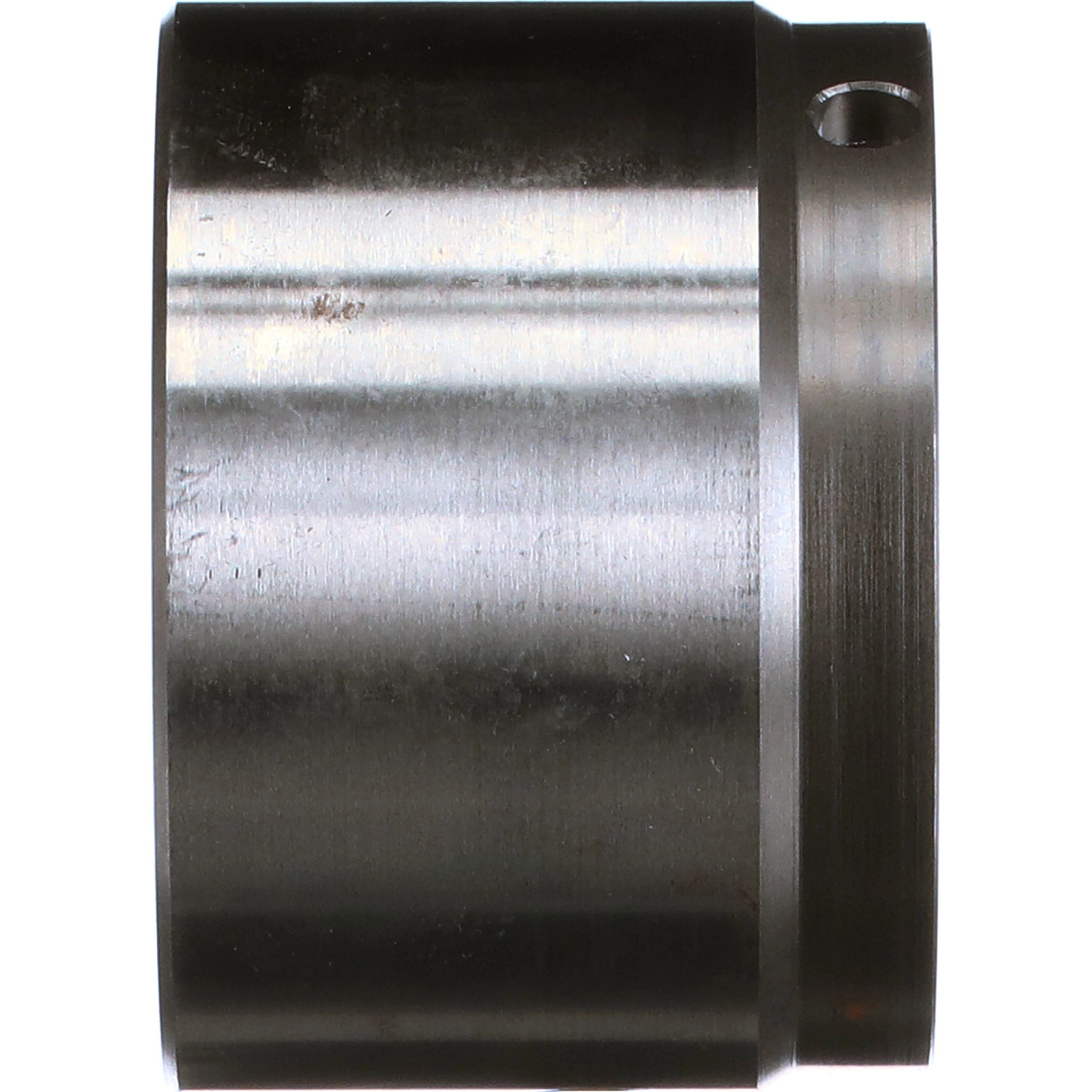 BUCHA | CASECE | EU | PT