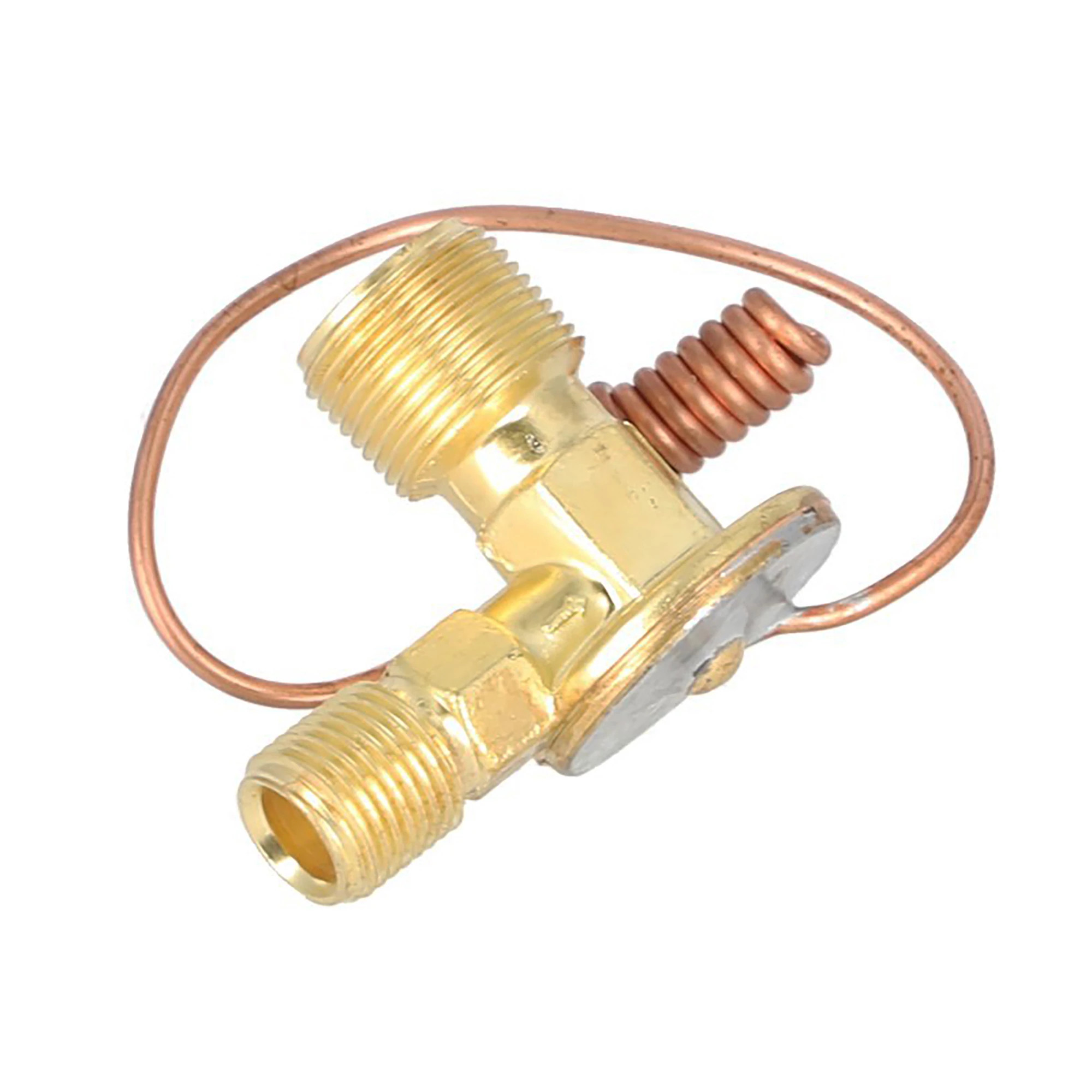 Expansion Valve | CASECE | CA | EN