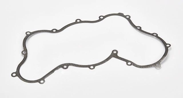 GASKET | FLEXICOIL | AMEA | EN