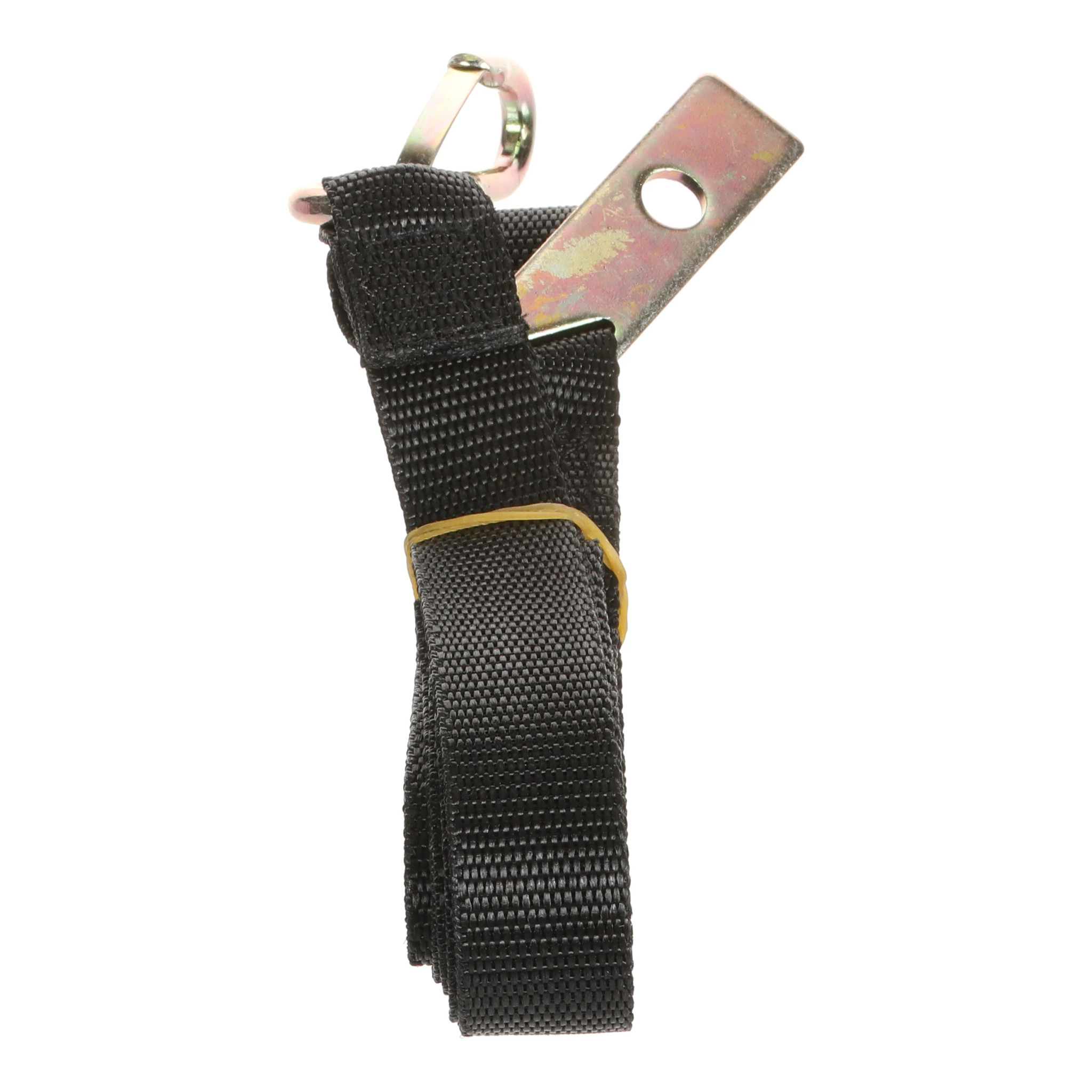 SECURING STRAP | CASEIH | NZ | EN