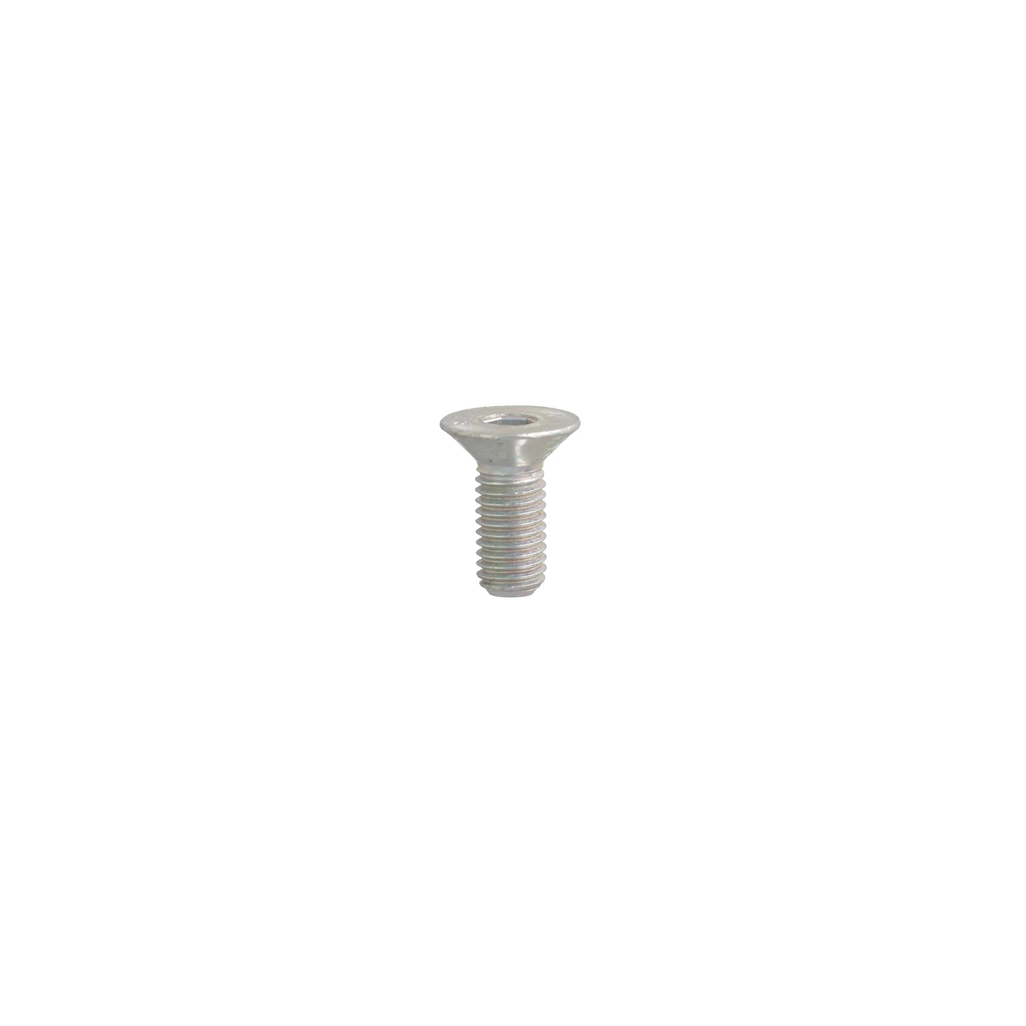 SCREW | CASEIH | SA | EN