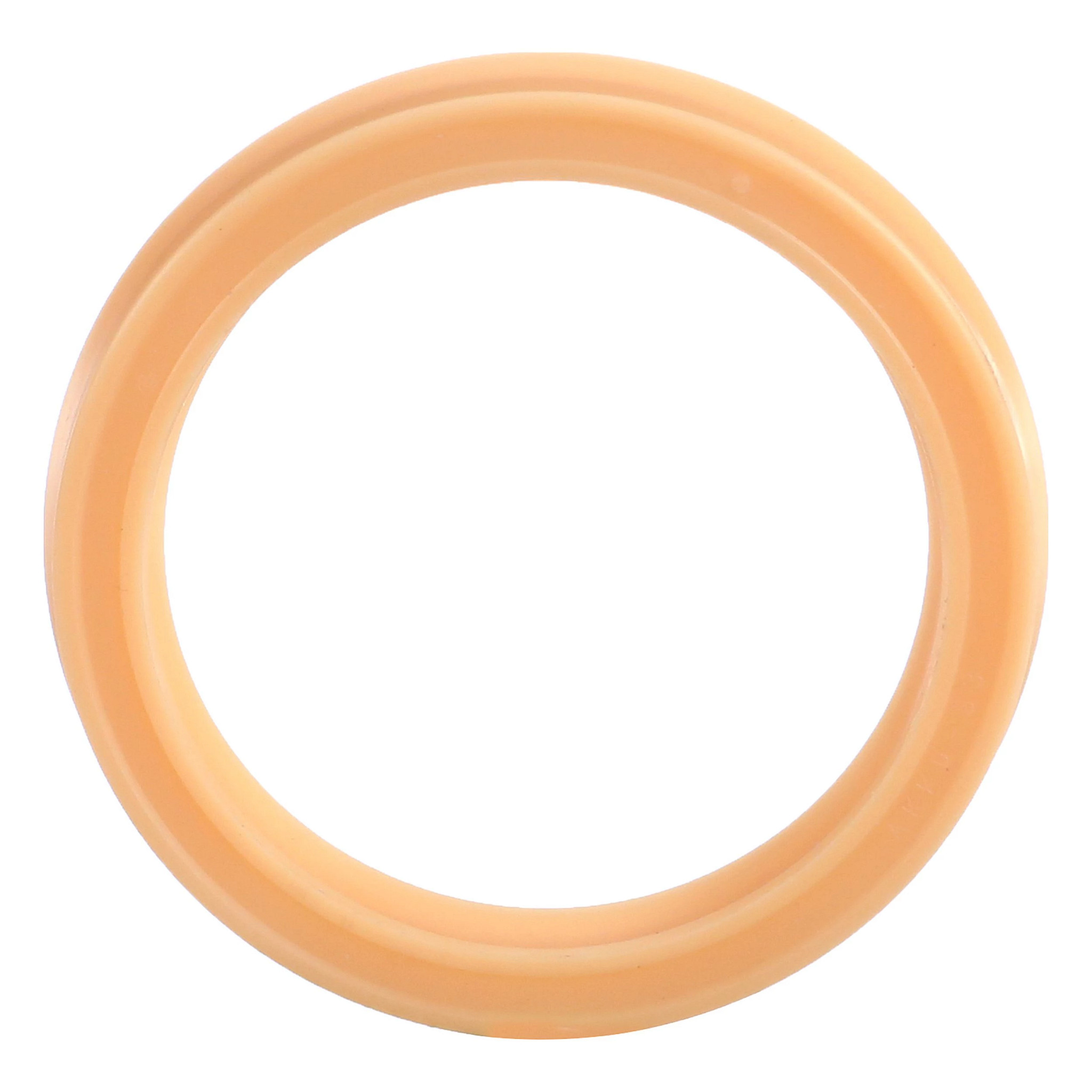 SEAL | CASEIH | US | EN