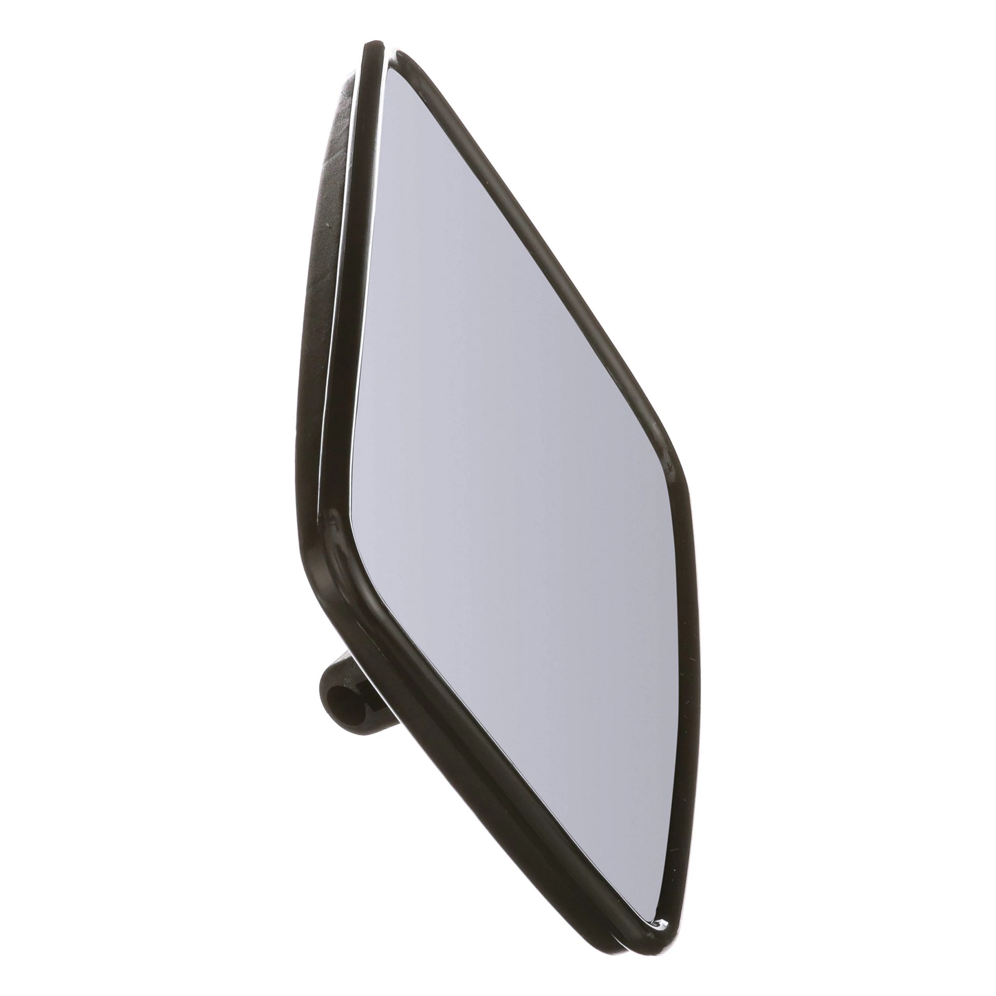 MIRROR ASSY. | CASEIH | CA | EN