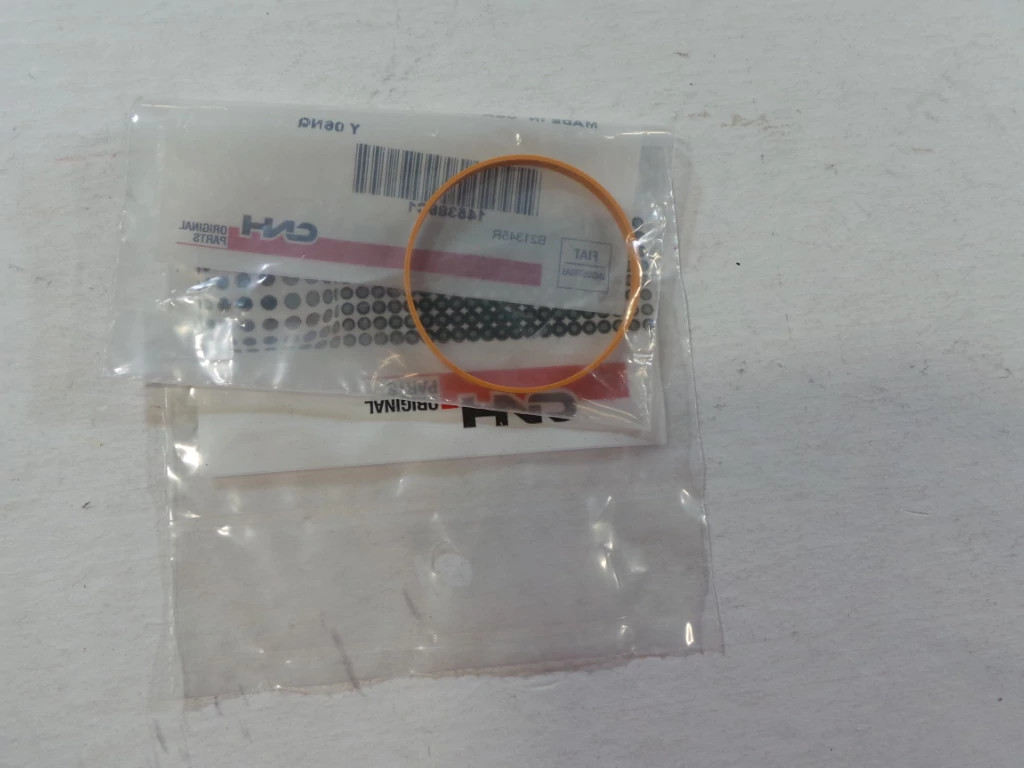 SEALING RING | CASEIH | AMEA | EN