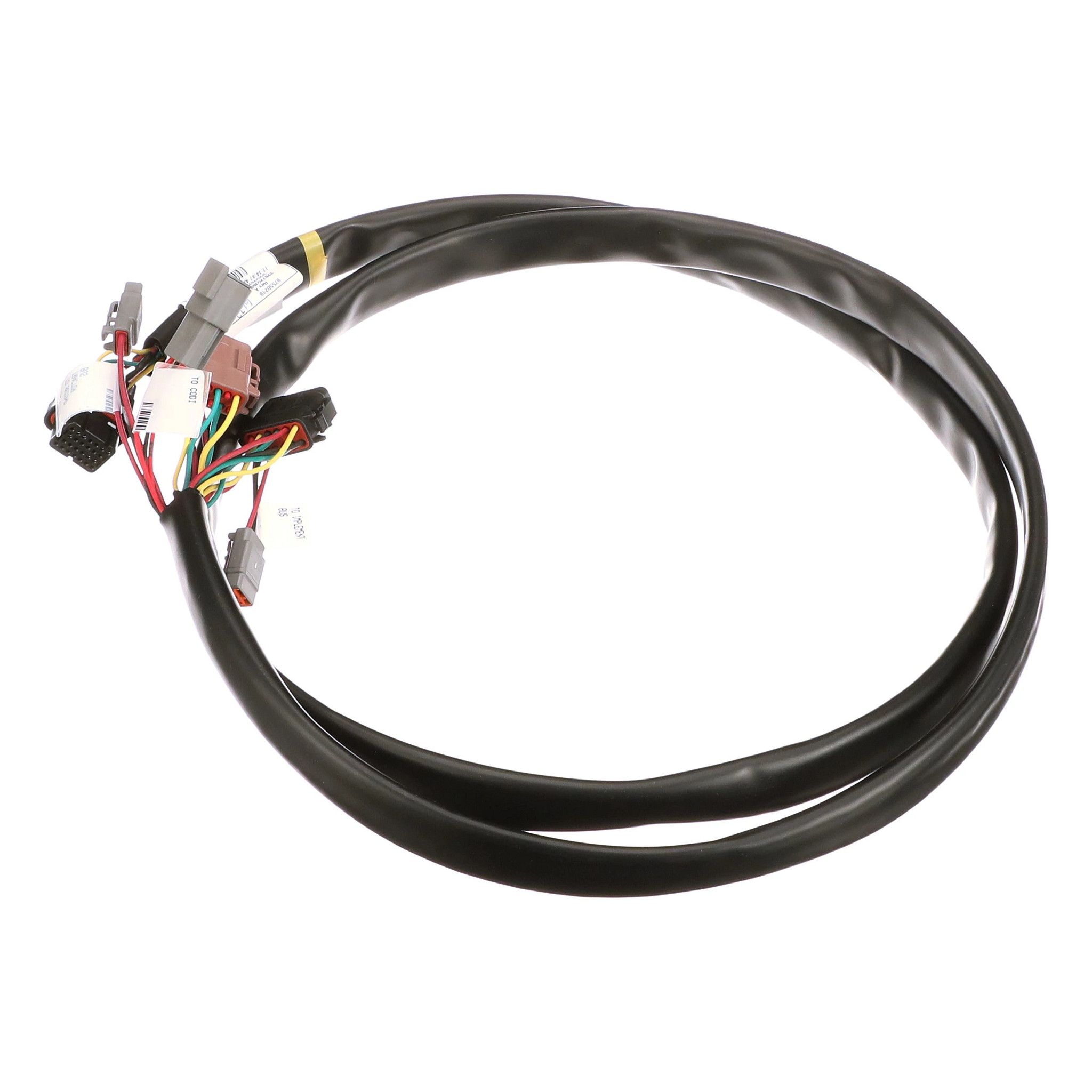 EMNİYET KAYIŞI | CASEIH | AMEA | TR