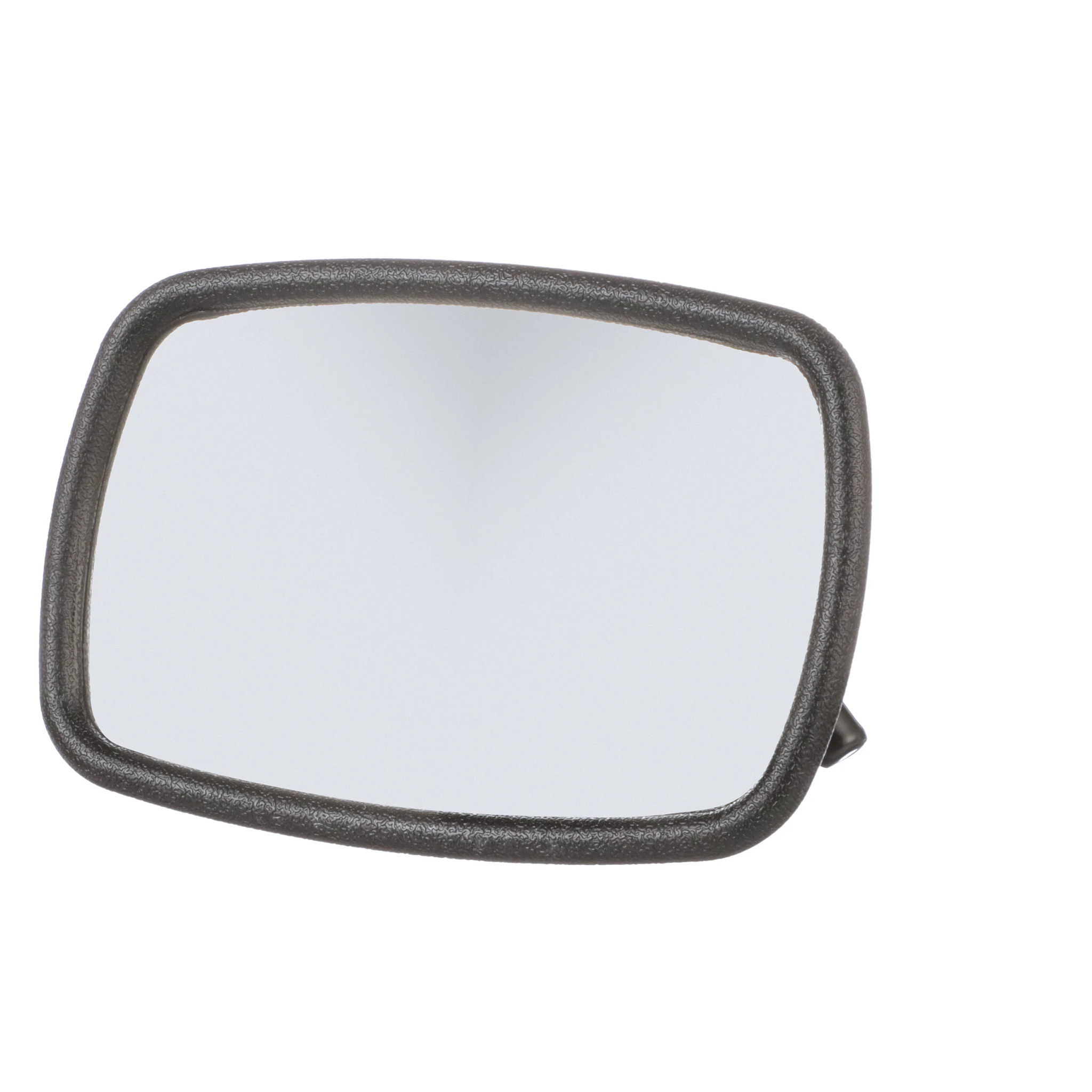 Rear View Mirror | CASECE | BR | PT
