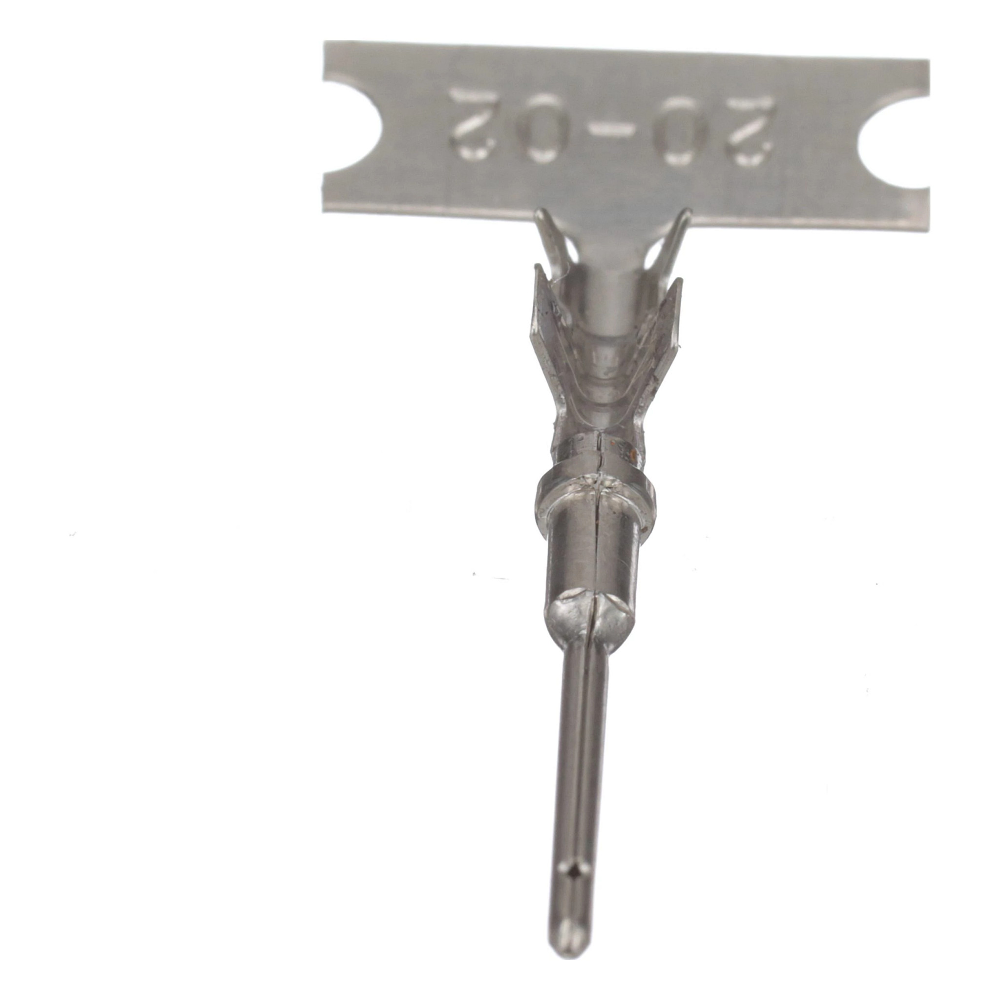 TERMINAL | CASECE | SA | ES