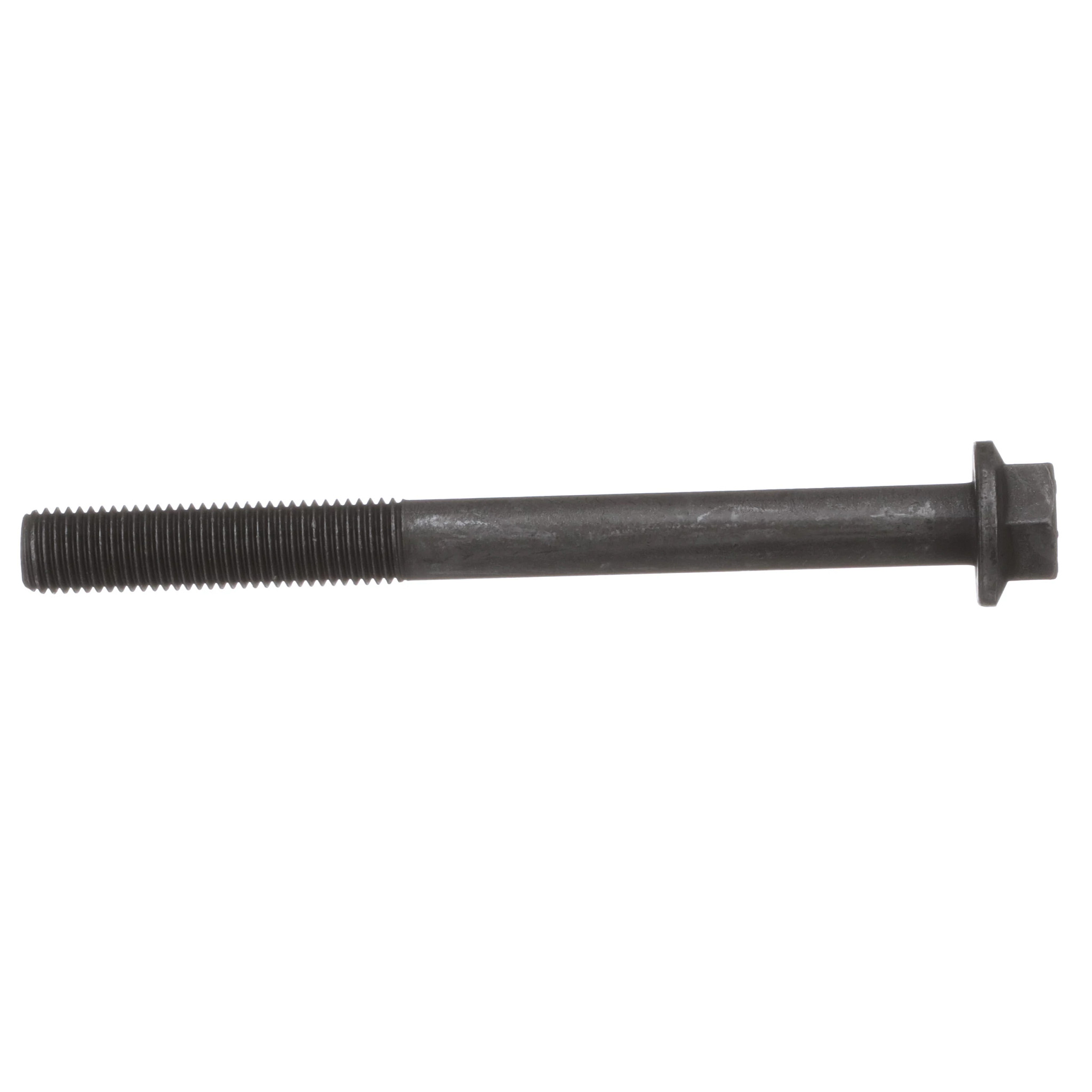 Screw | CASECE | BR | PT