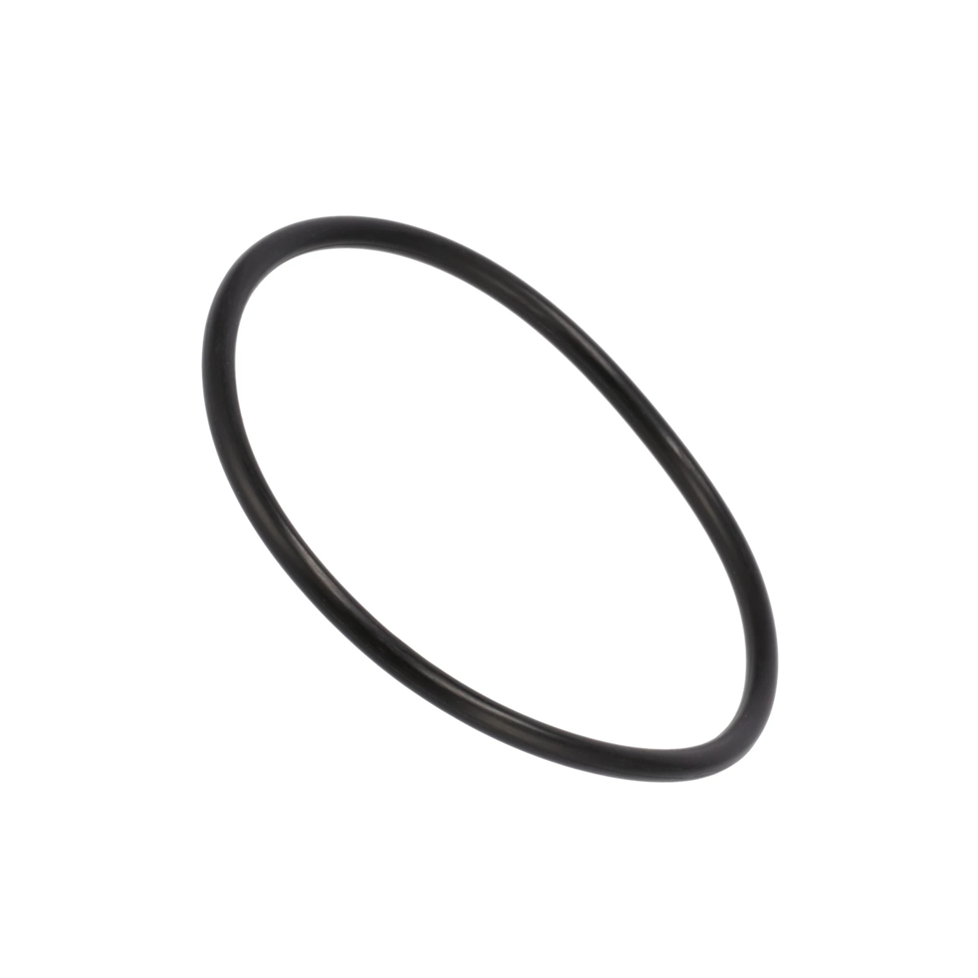 ANELLO TOROIDALE | CASEIH | EU | IT