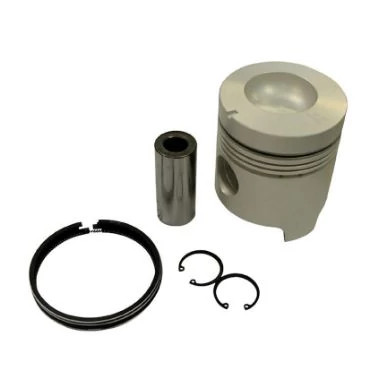 PISTON & RINGS KIT | CASEIH | AMEA | ZH
