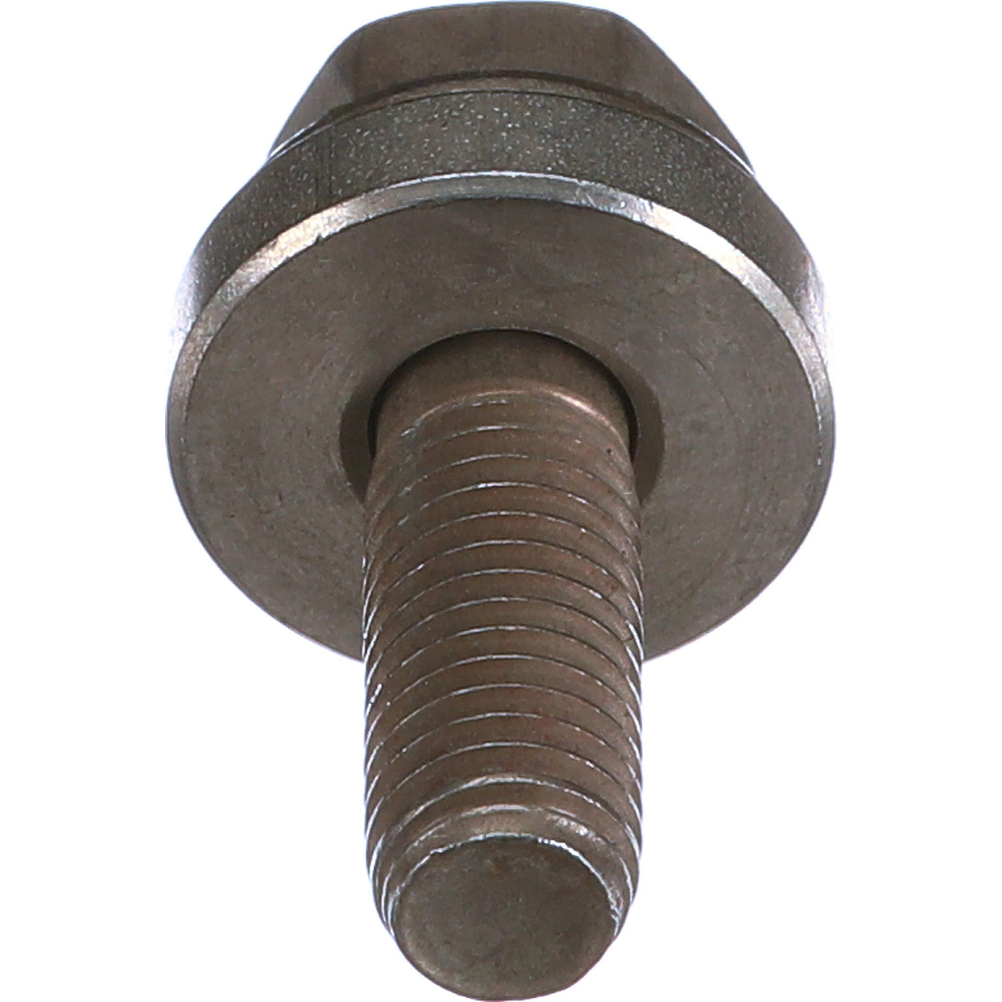 SCREW | NEWHOLLANDAG | EU | EN