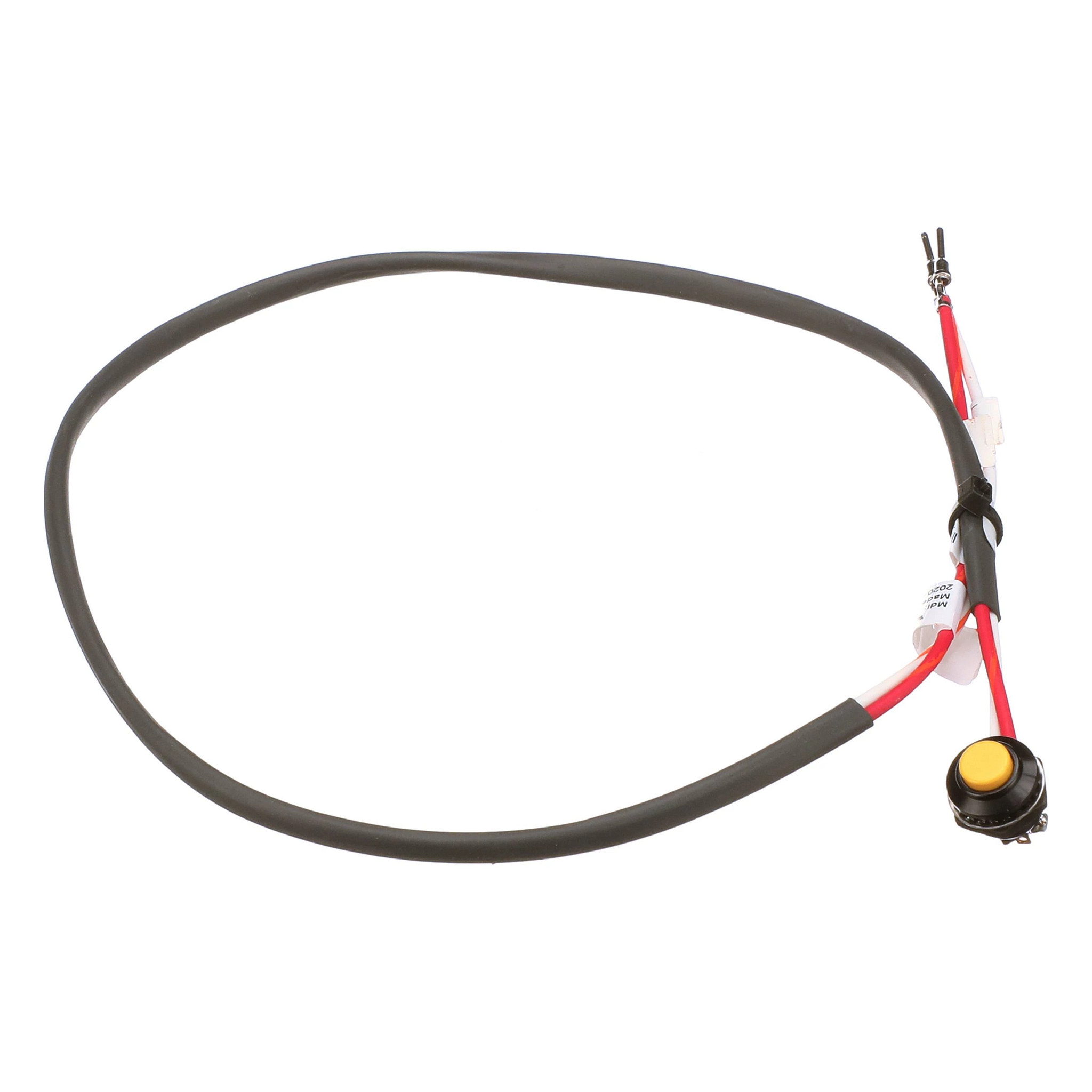 SWITCH | CASECE | US | EN