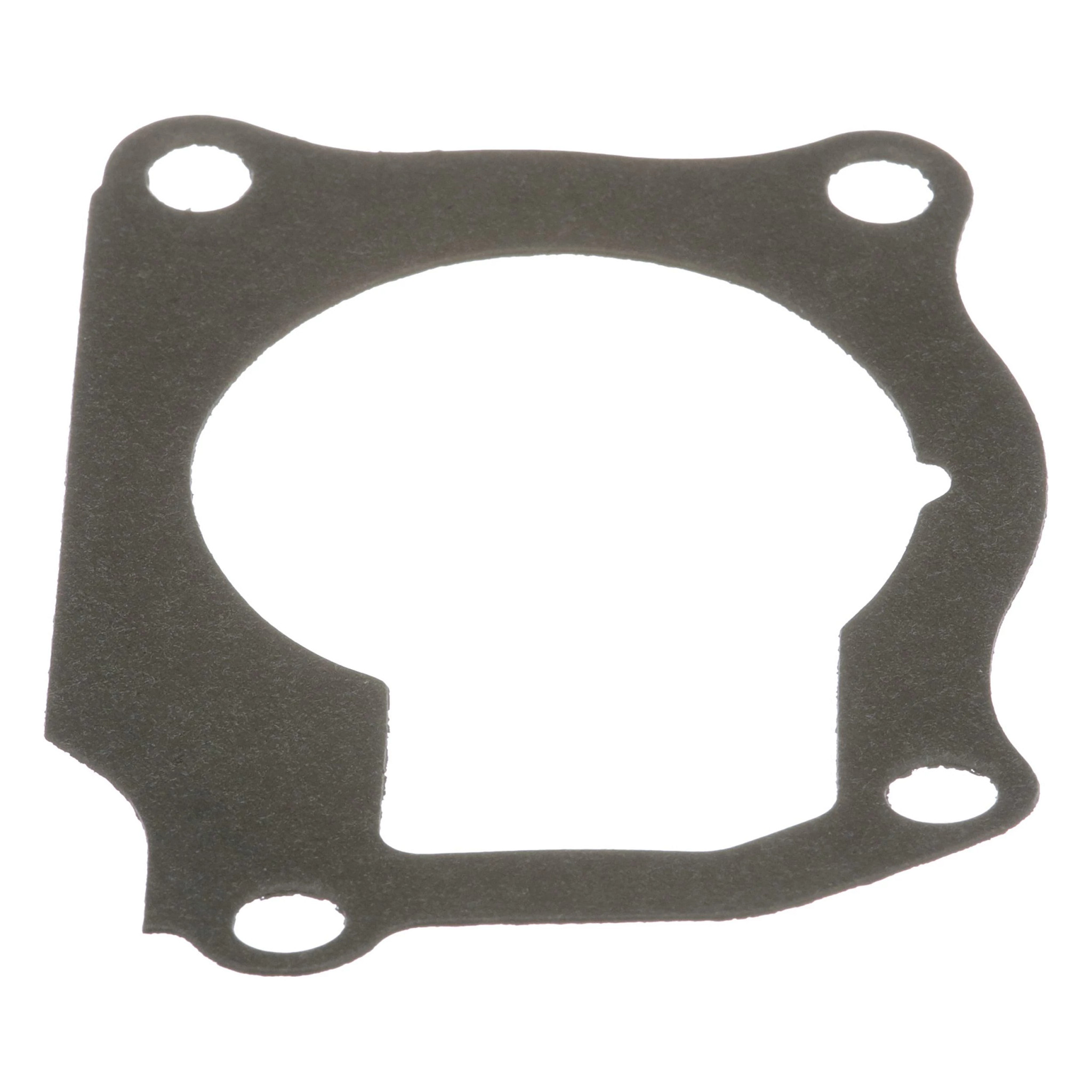 GASKET | CASECE | AMEA | EN