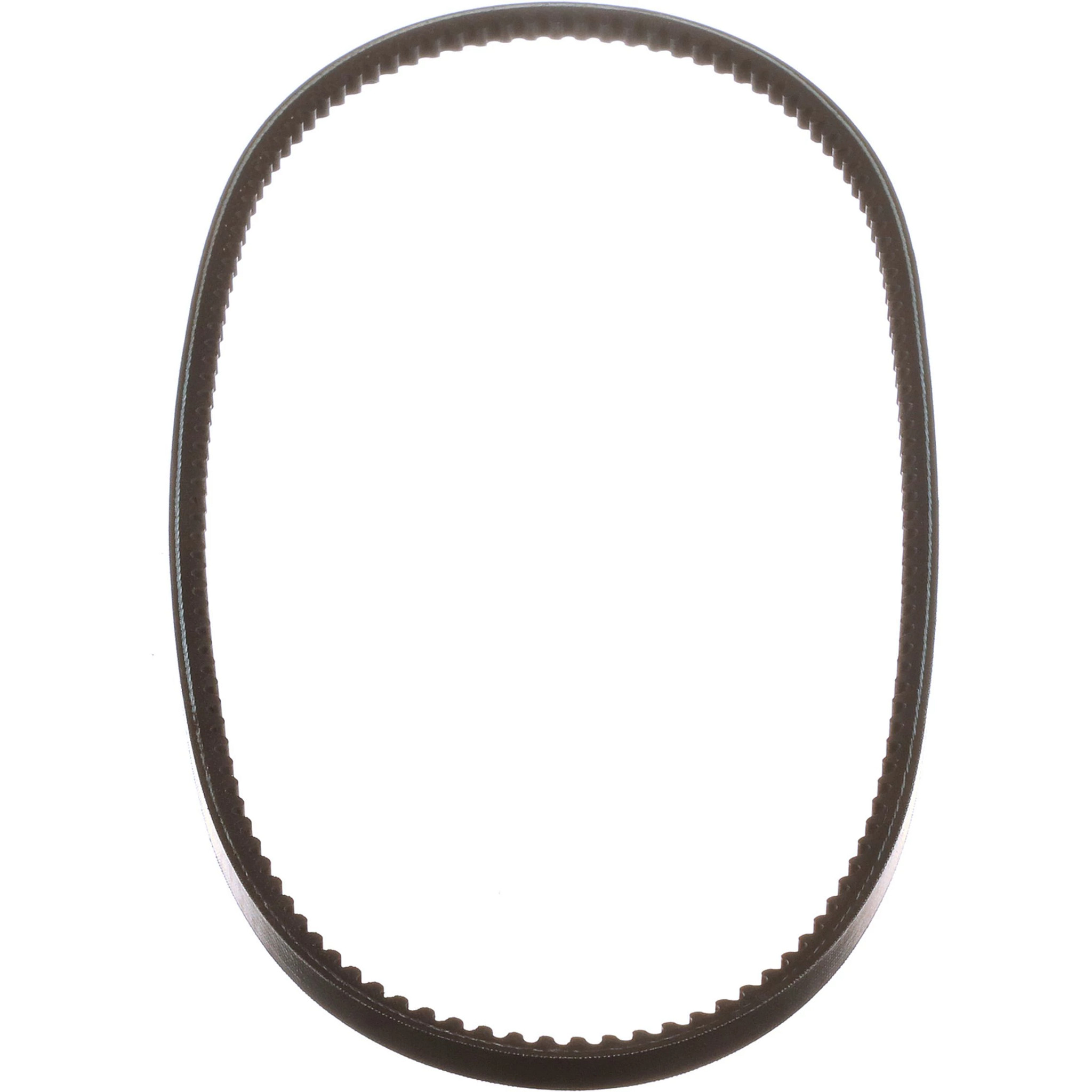 CORREIA | CASEIH | EU | PT